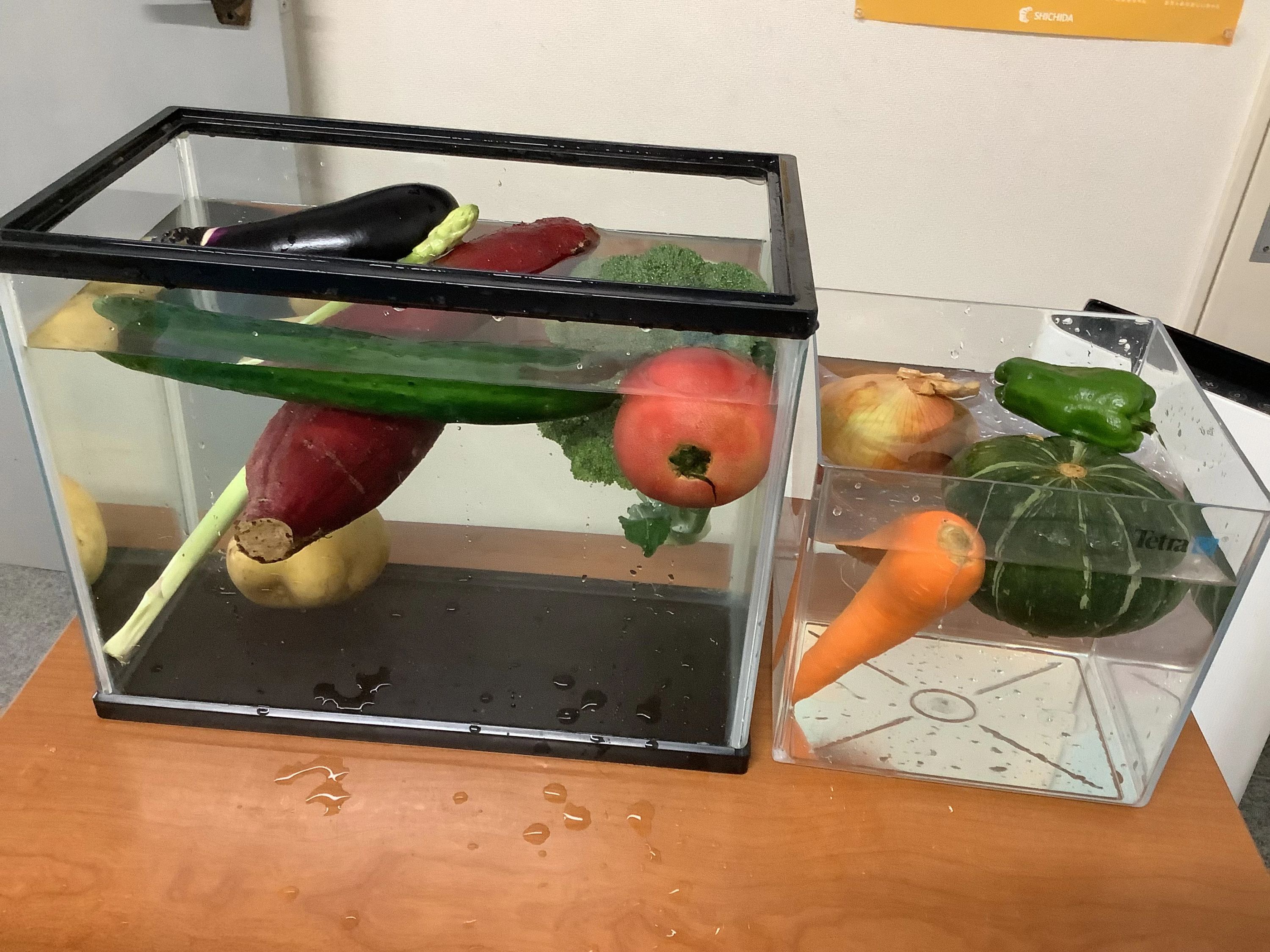 七田式東海教室のサムネイル画像 2