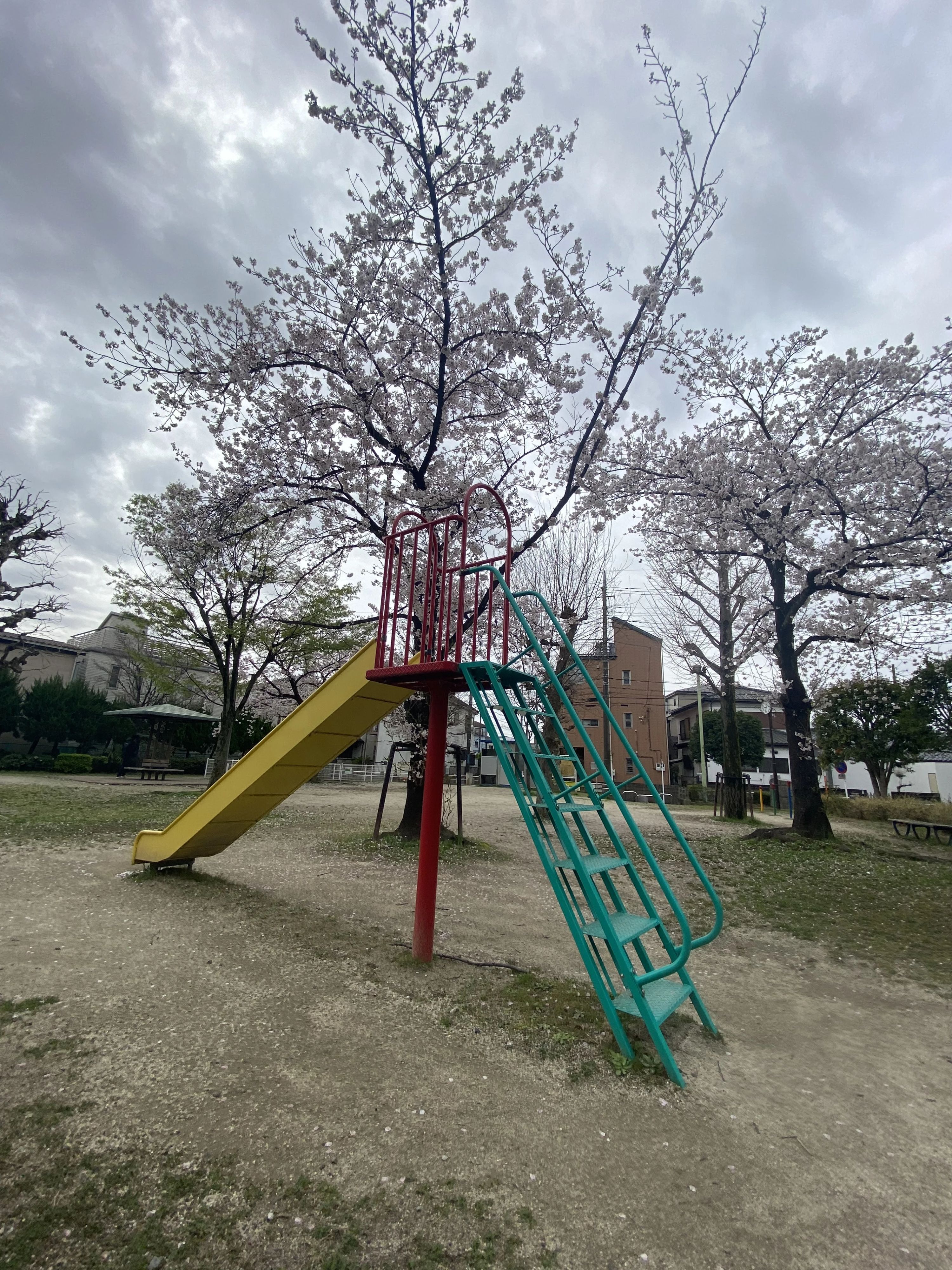 七田式鳩ケ谷教室のサムネイル画像 3