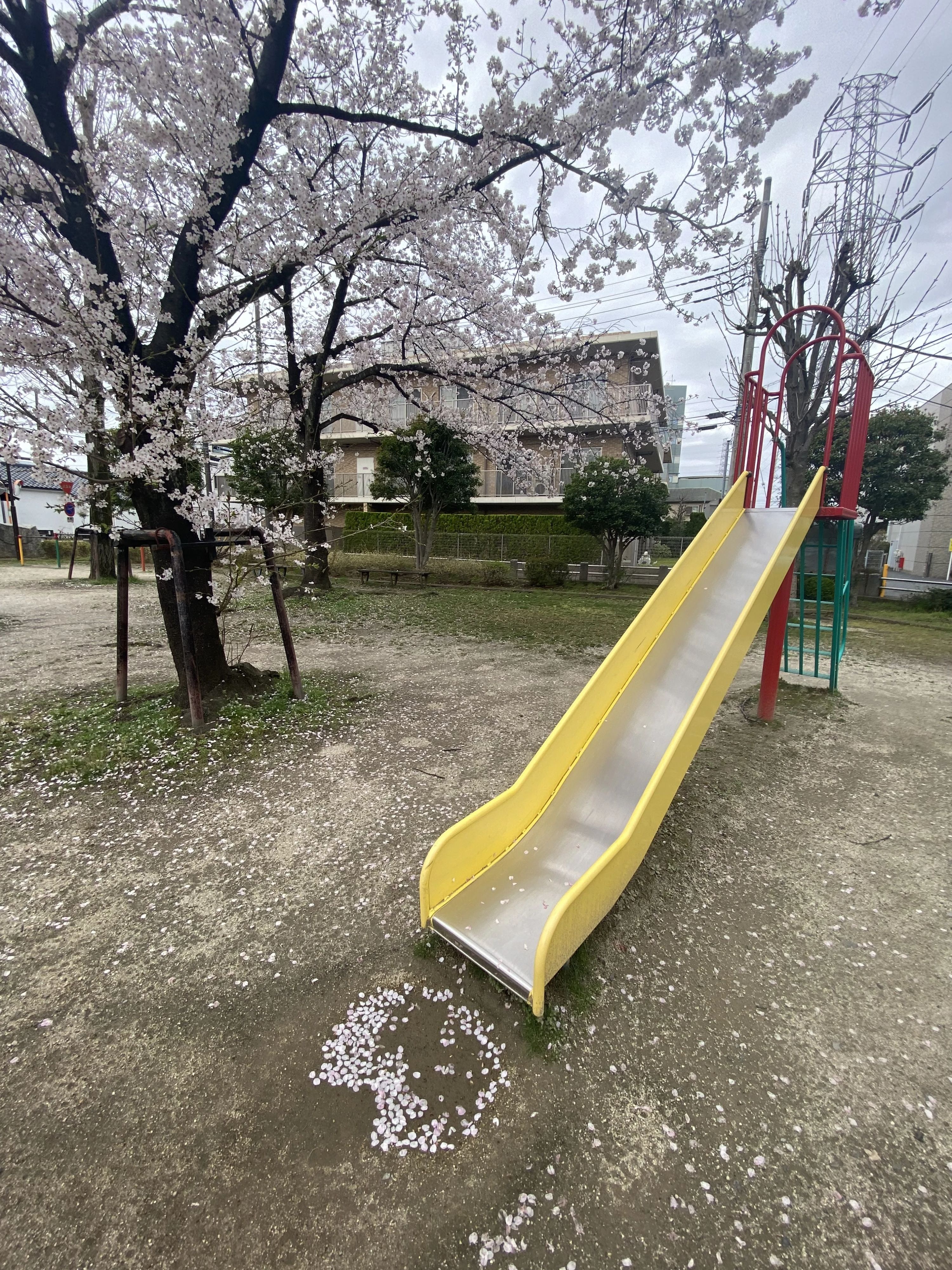 七田式鳩ケ谷教室のサムネイル画像 4