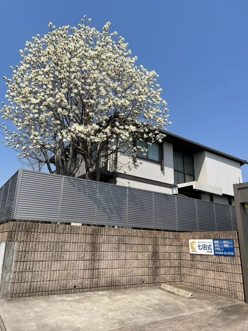 七田式半田教室のサムネイル画像 2