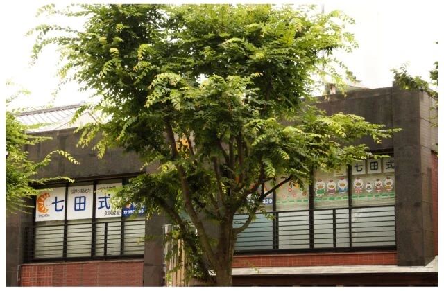 七田式久居教室のサムネイル画像 4