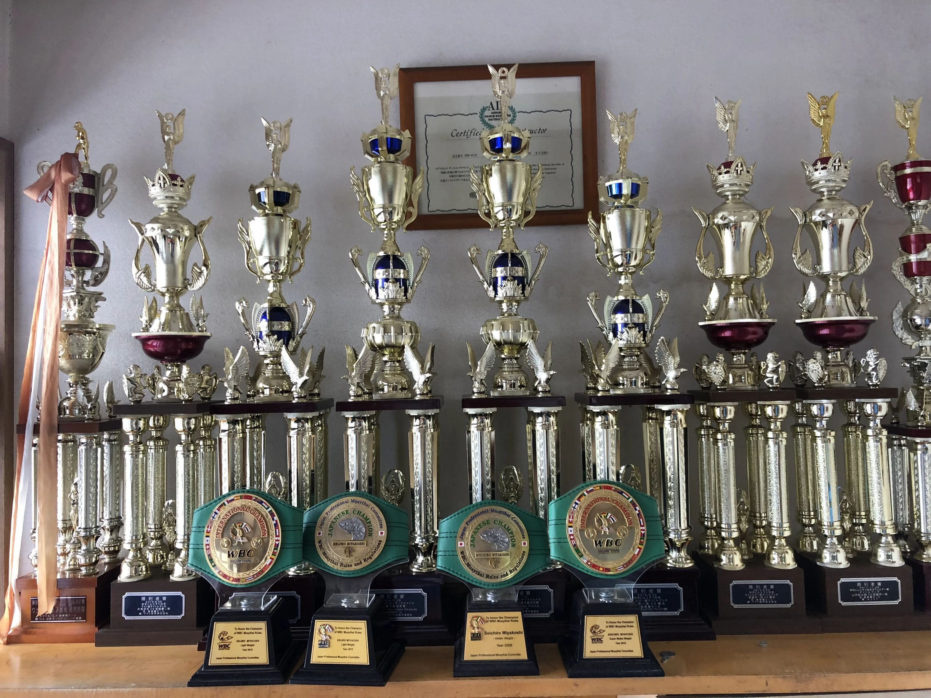 KENSUIKAI(拳粋会) 青梅藤橋支部のサムネイル画像 4