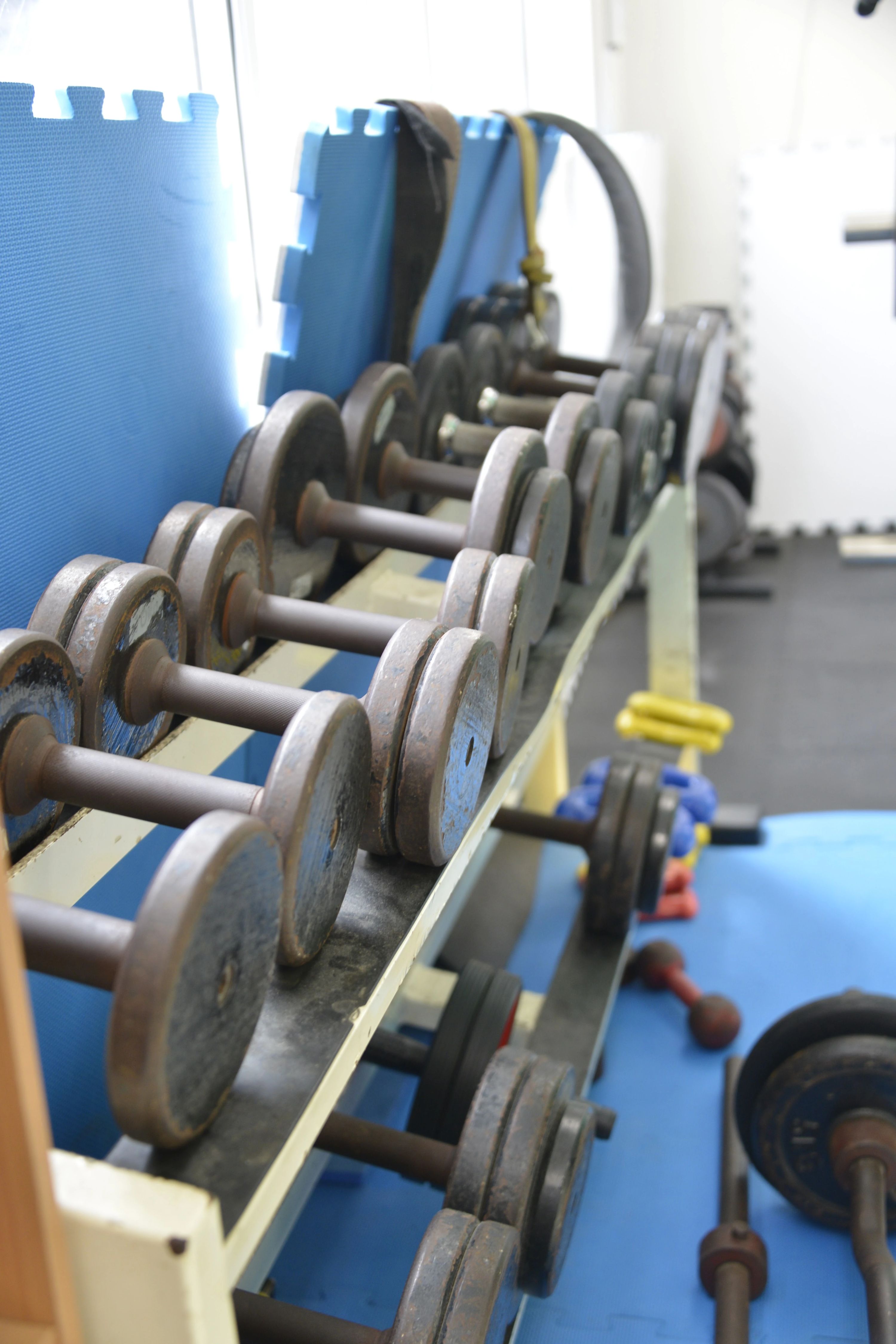 真正会空手 鈴木道場 東京支部のサムネイル画像 5