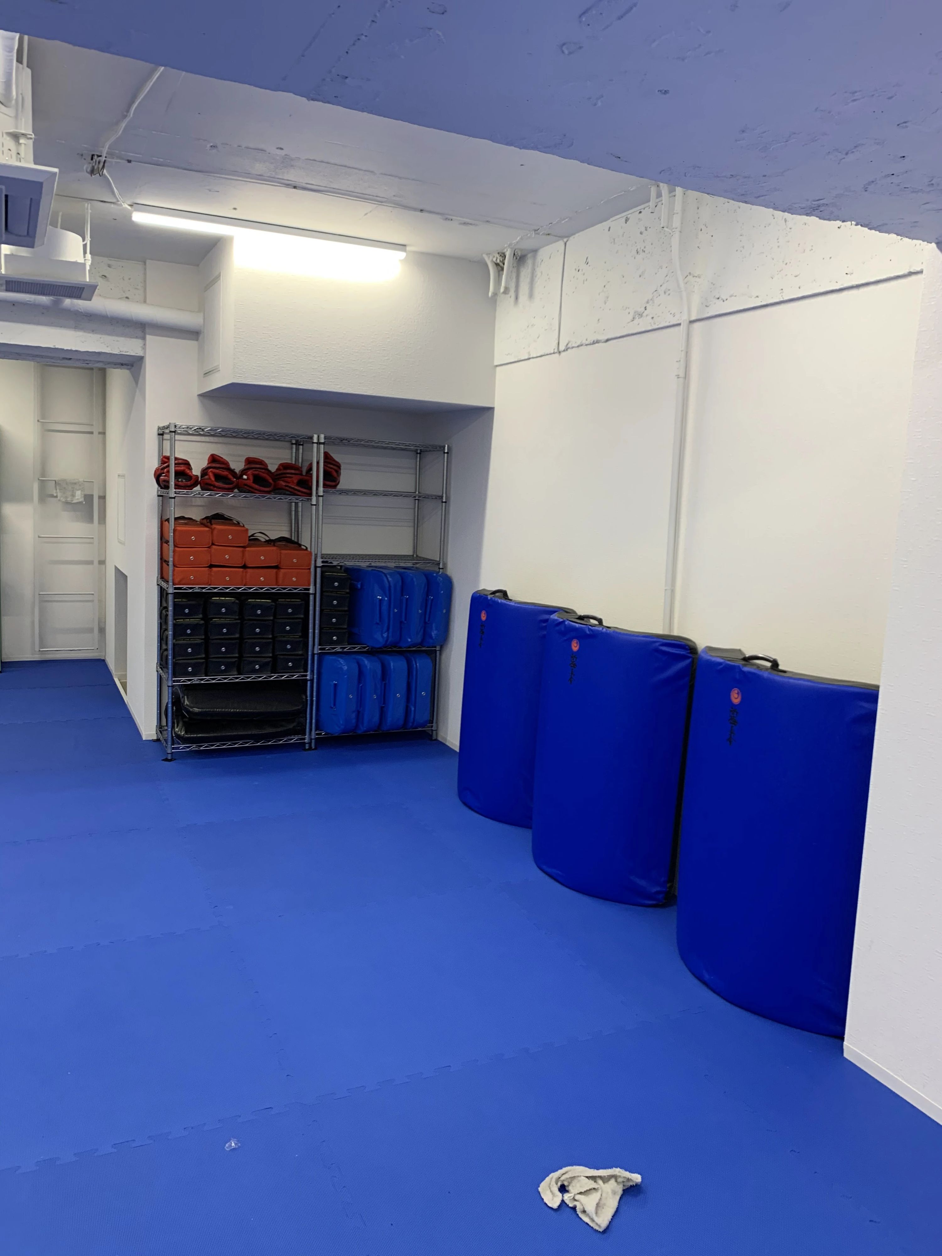 新極真会空手 練馬島本道場のサムネイル画像 2