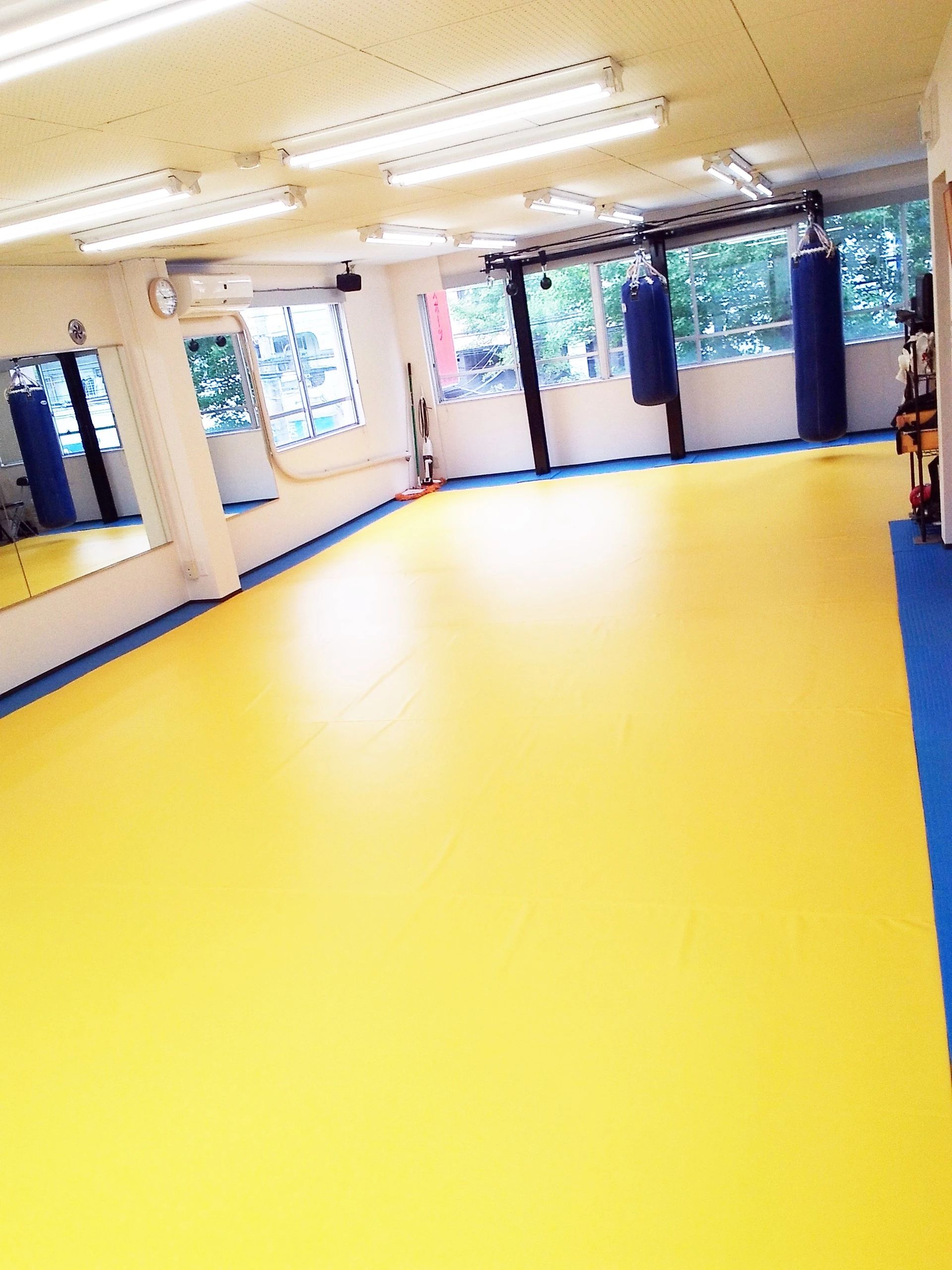 龍拳會 青葉台支部 藤が丘教室のメイン画像