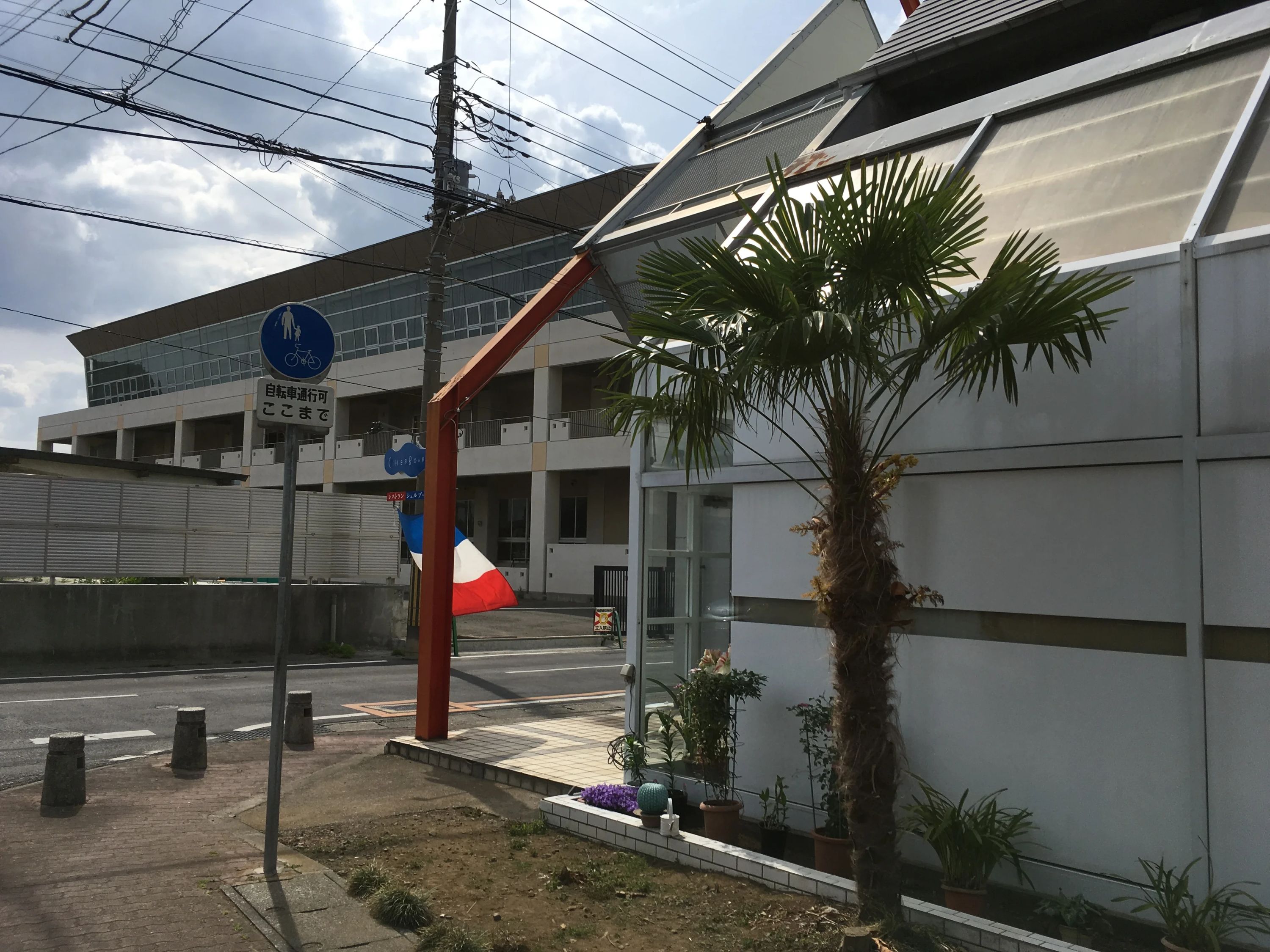 彰考館 空手 古河支部のサムネイル画像 2