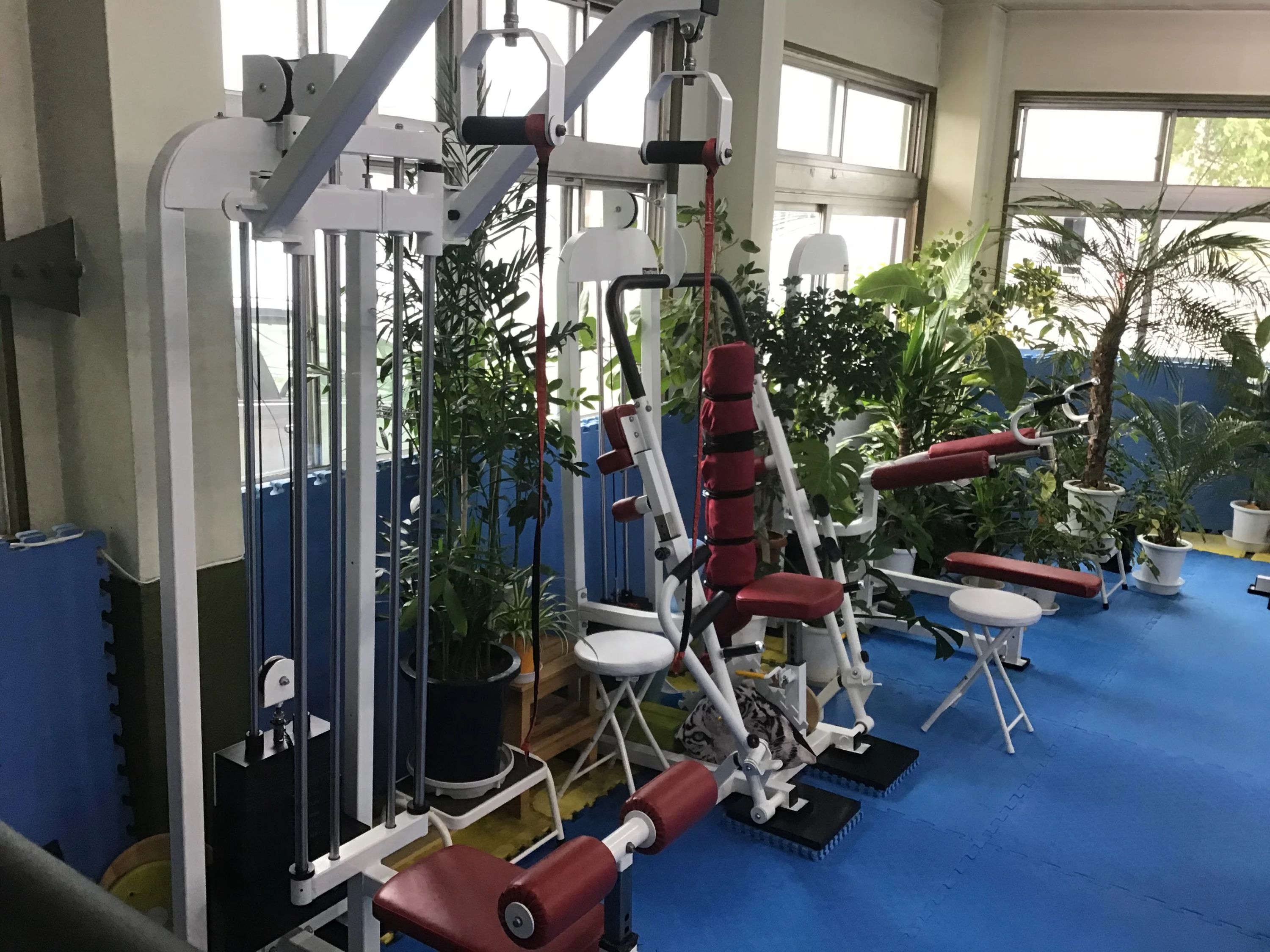 空手道禅道会 茅野道場のサムネイル画像 5