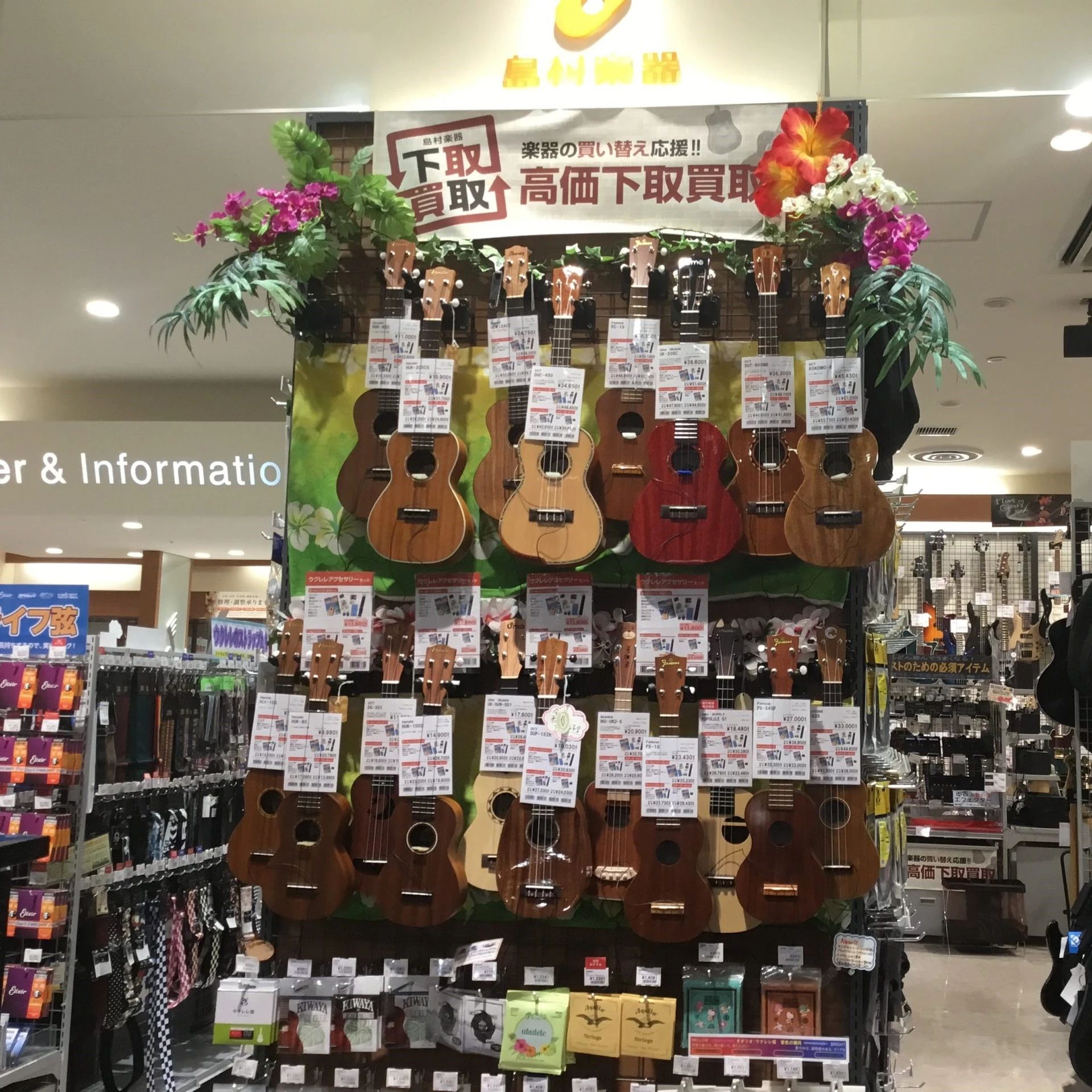 島村楽器の音楽教室 イオンモール春日部店 幼児の基礎音楽のサムネイル画像 5