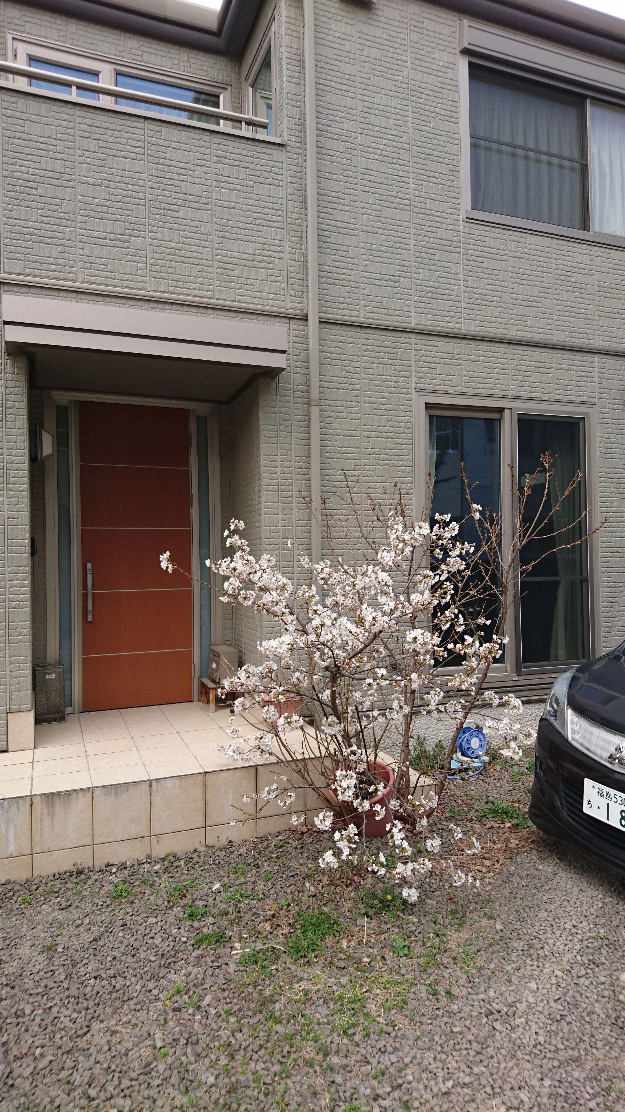 K.Dance Spirit Dance Theater 太田教室のメイン画像