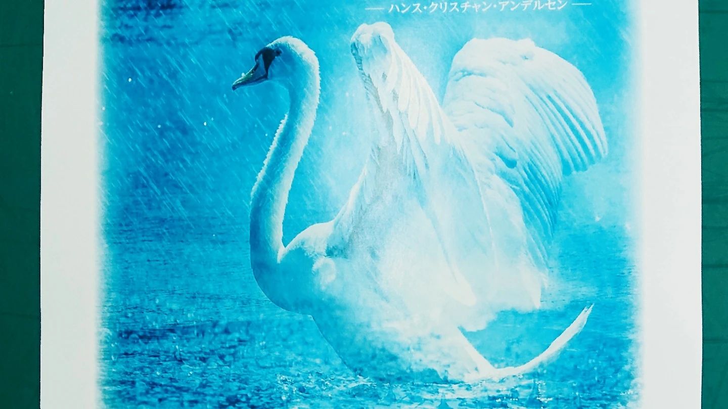 K.Dance Spirit Dance Theater 太田教室のサムネイル画像 3