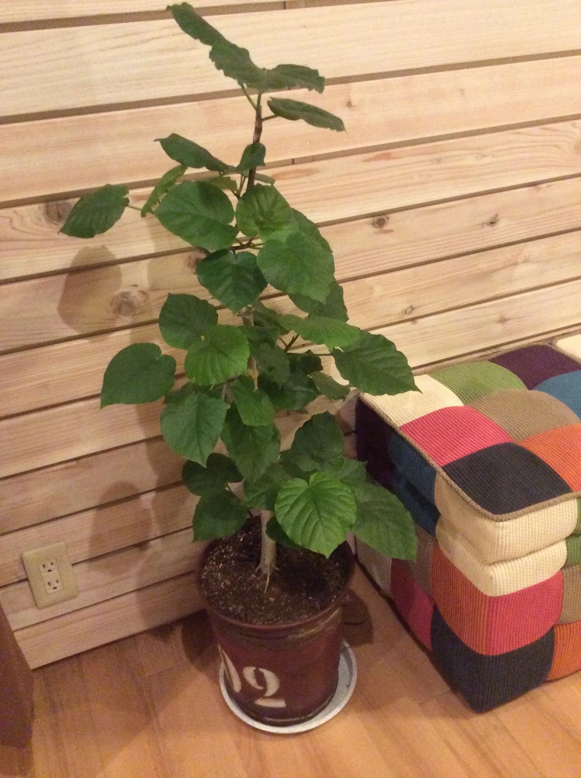 DanceSpaceDD 諏訪教室のサムネイル画像 4