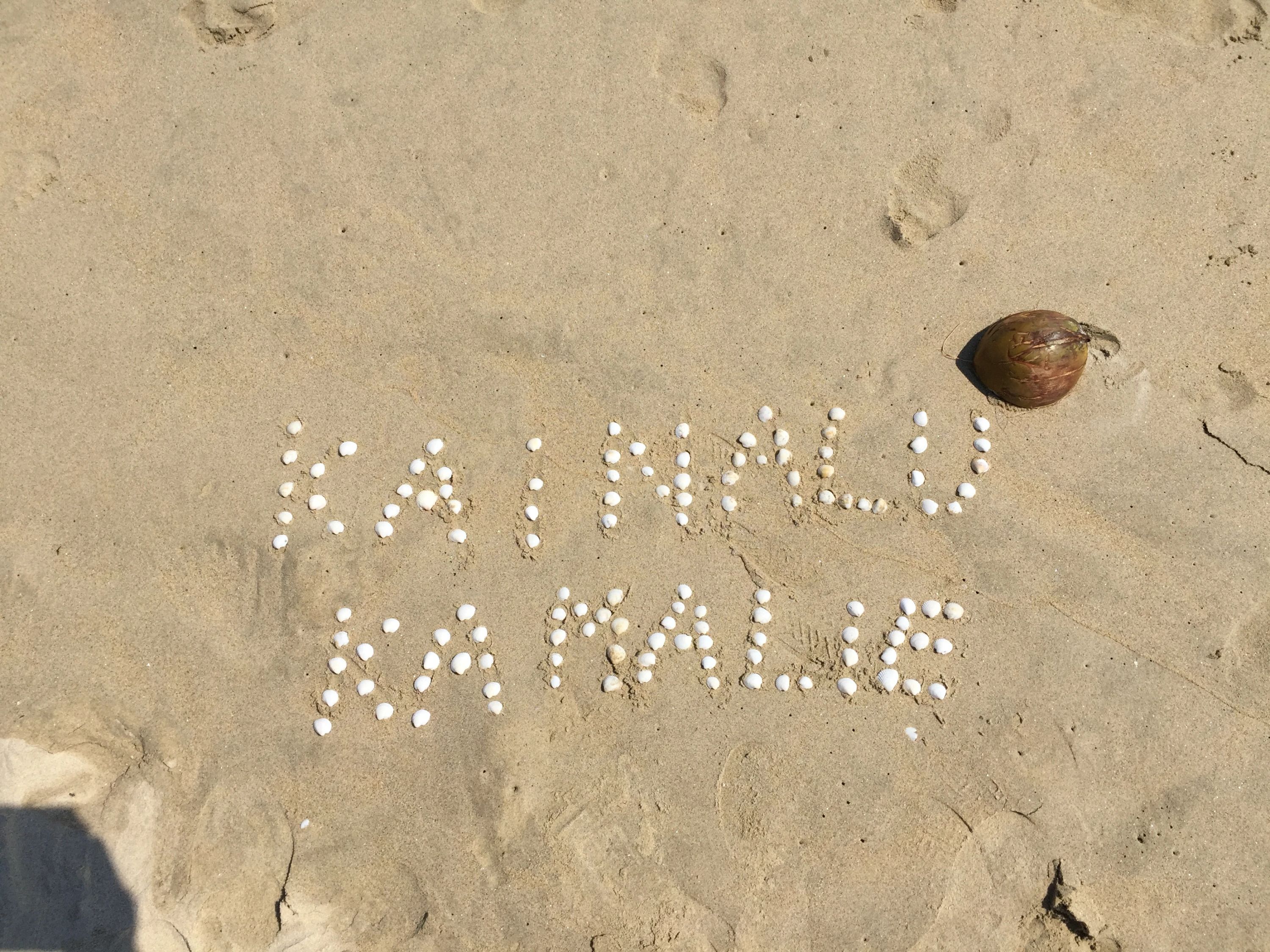 HALAU O KAINALU KA MALIE(ハラウ・オ・カイナル・カ・マリエ) ダンス 二俣川教室のサムネイル画像 3