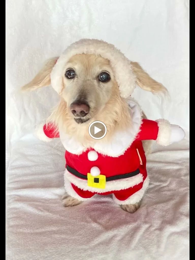 よ－ちゃんだんすすたじお ダンス 二ツ橋教室のサムネイル画像 2