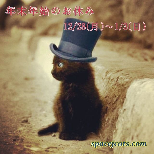 Space J-Cats ダンス 大豆戸教室のサムネイル画像 2