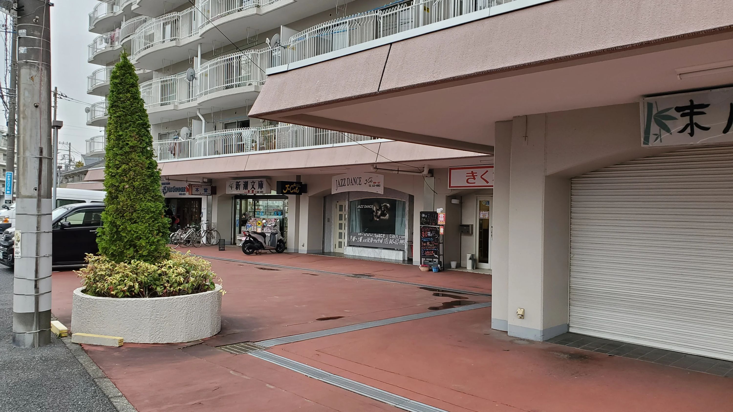 Space J-Cats ダンス 大豆戸教室のサムネイル画像 4