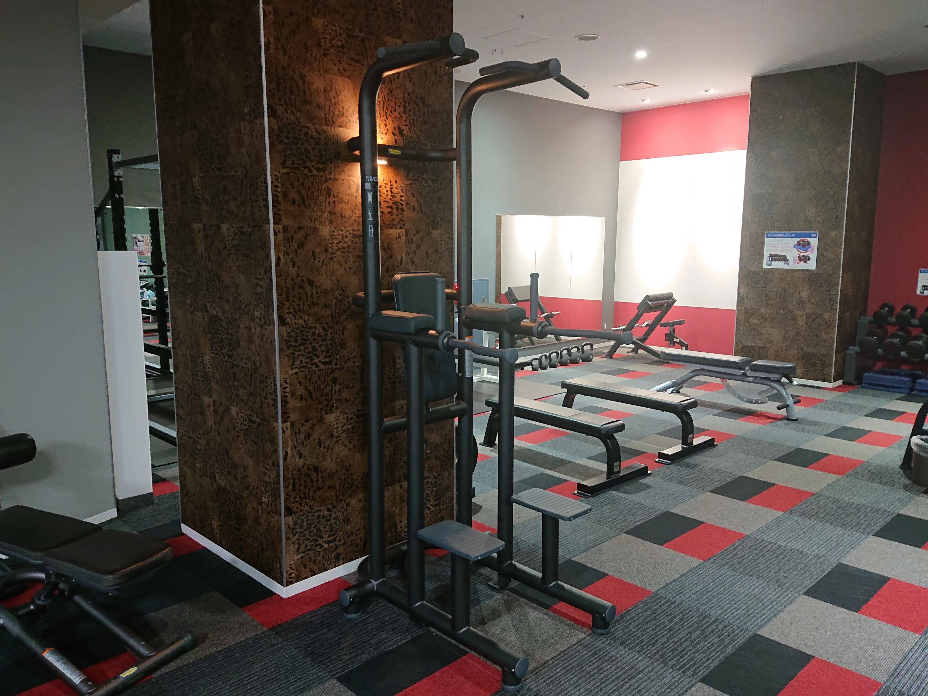 横浜ビー・コルセアーズチアリーディングアカデミー フィットネスクラブブルーゲートヨコハマのサムネイル画像 5