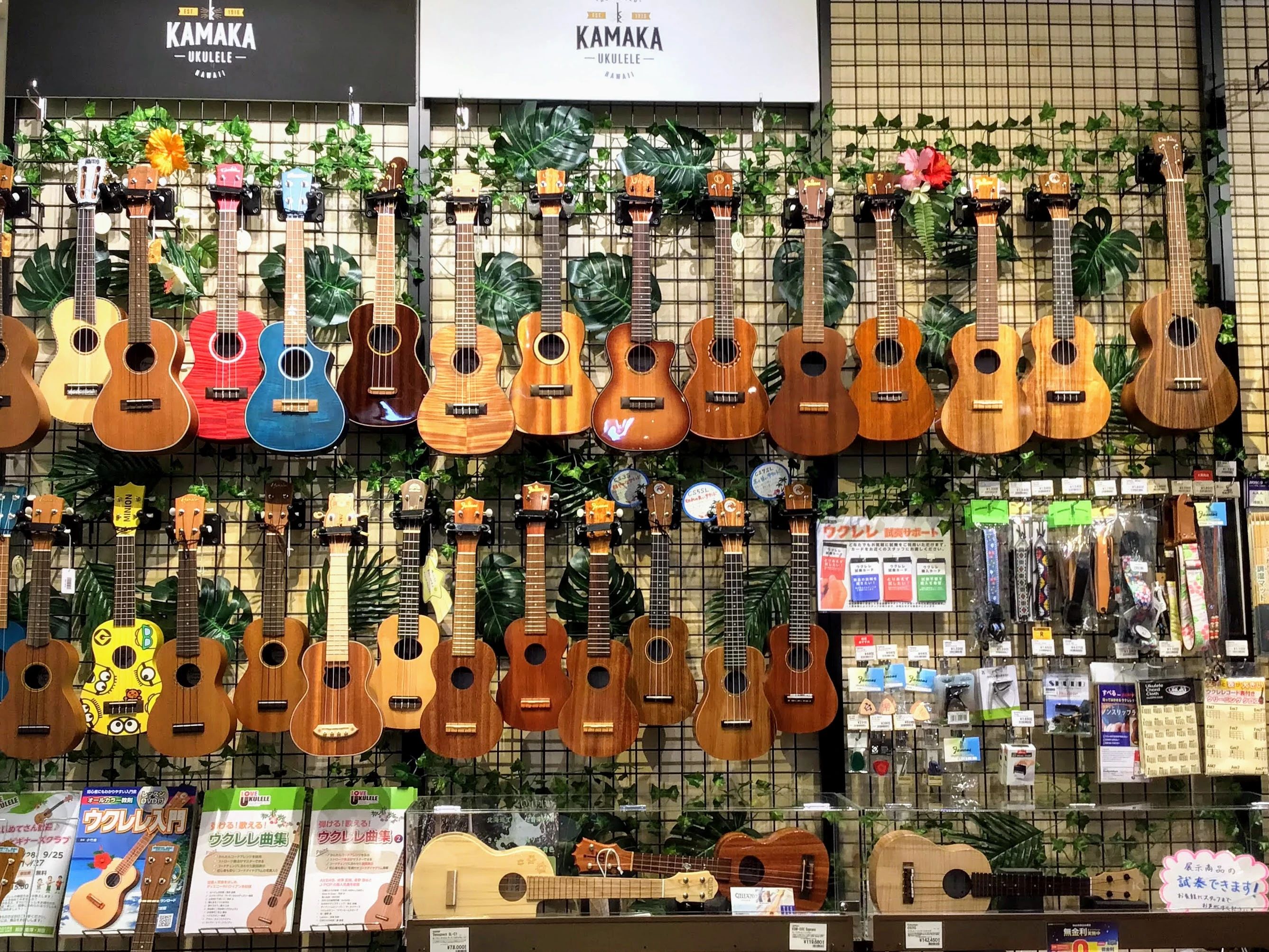 島村楽器の音楽教室 イオンモール佐久平店 ウクレレのサムネイル画像 4