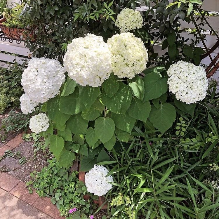 TAP ON AIR～入間ジョンソンタウン内タップダンス&レンタルスタジオのサムネイル画像 3