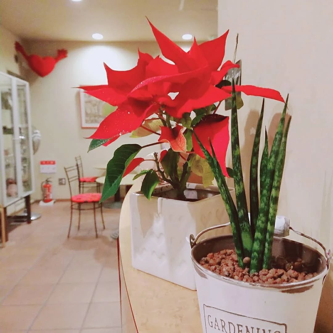 Fine studio ダンス 栄町教室のメイン画像