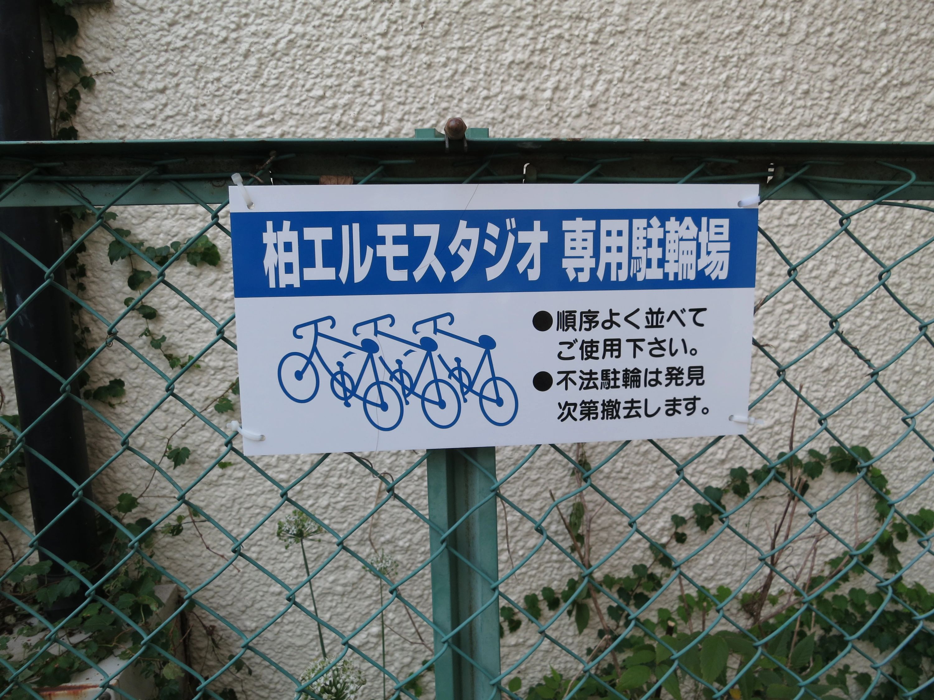 Lmo!! ダンス 柏レンタルスタジオのサムネイル画像 5