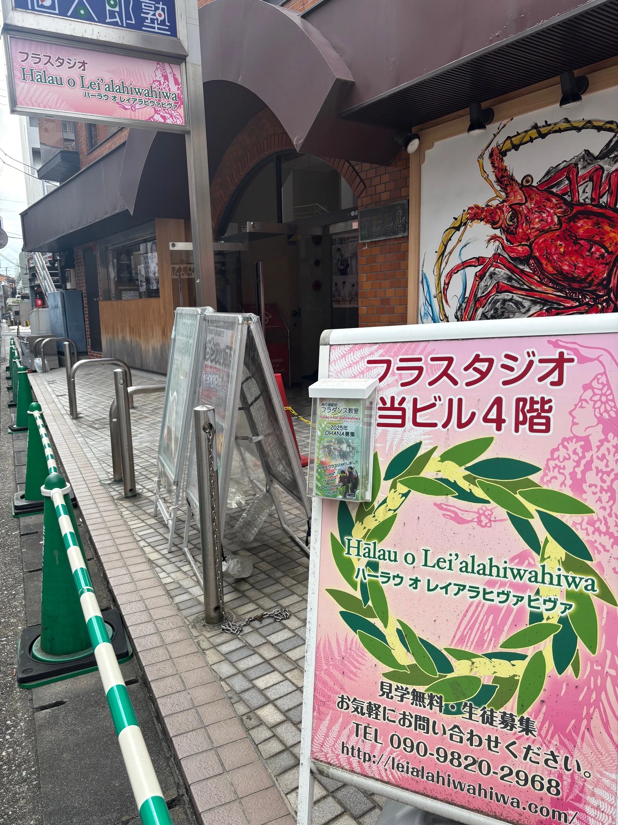 カレイ オ ハウオリ フラ スタジオ ダンス 南行徳市民センターのメイン画像