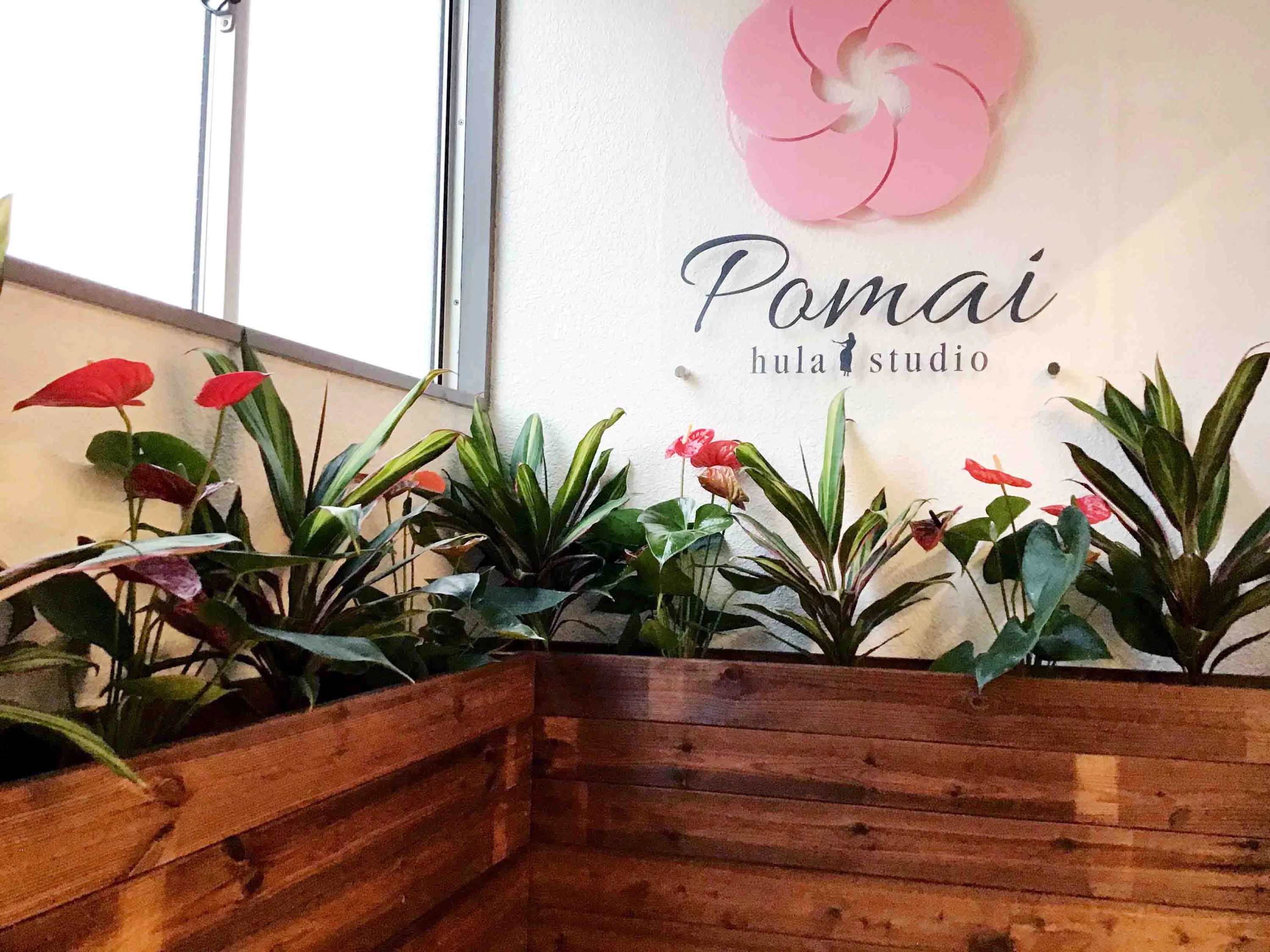 ポーマイフラスタジオ ダンス 南柏スタジオのサムネイル画像 2