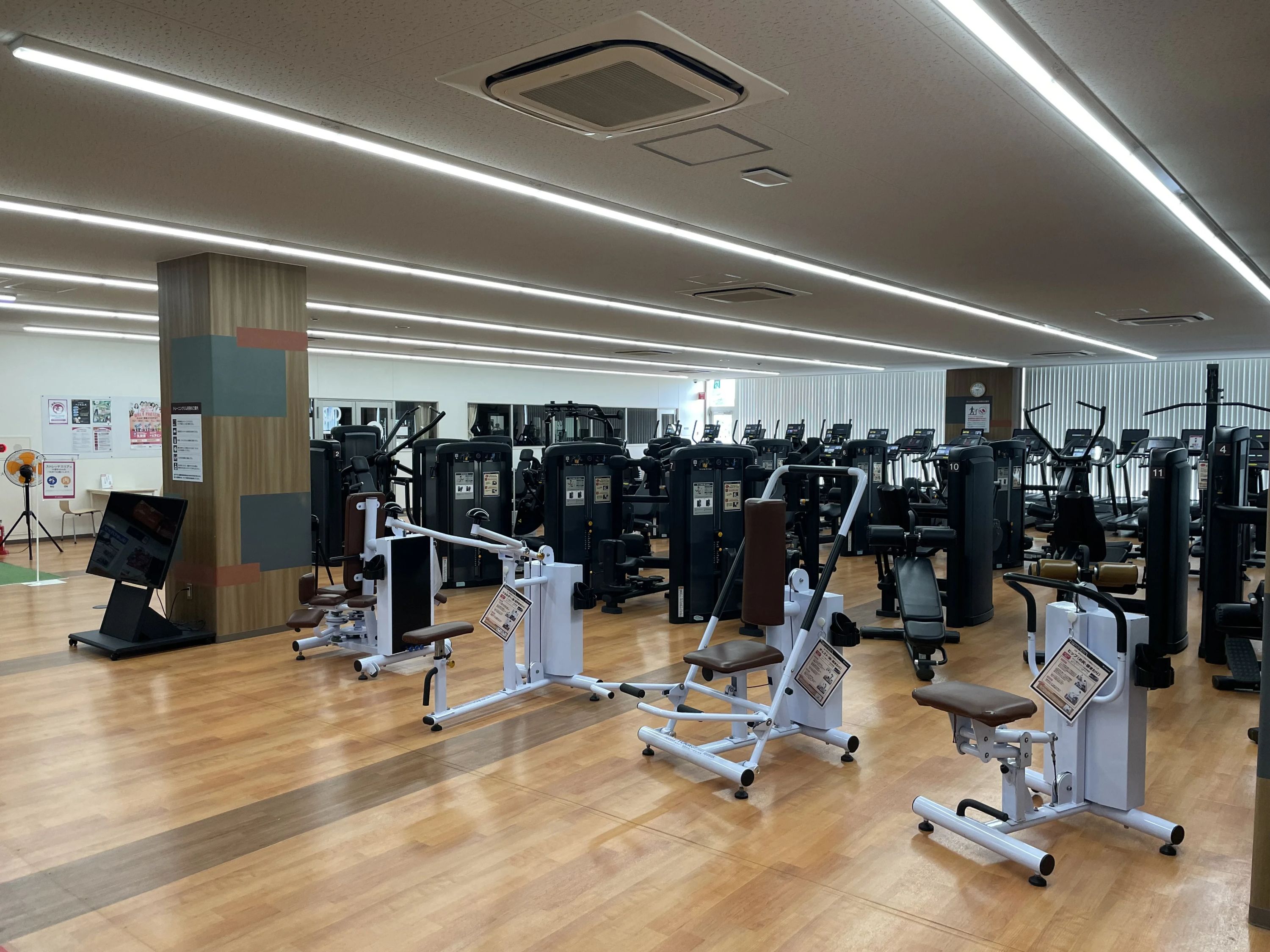 RENAISSANCE(ルネサンス) ダンス 稲毛24のサムネイル画像 3