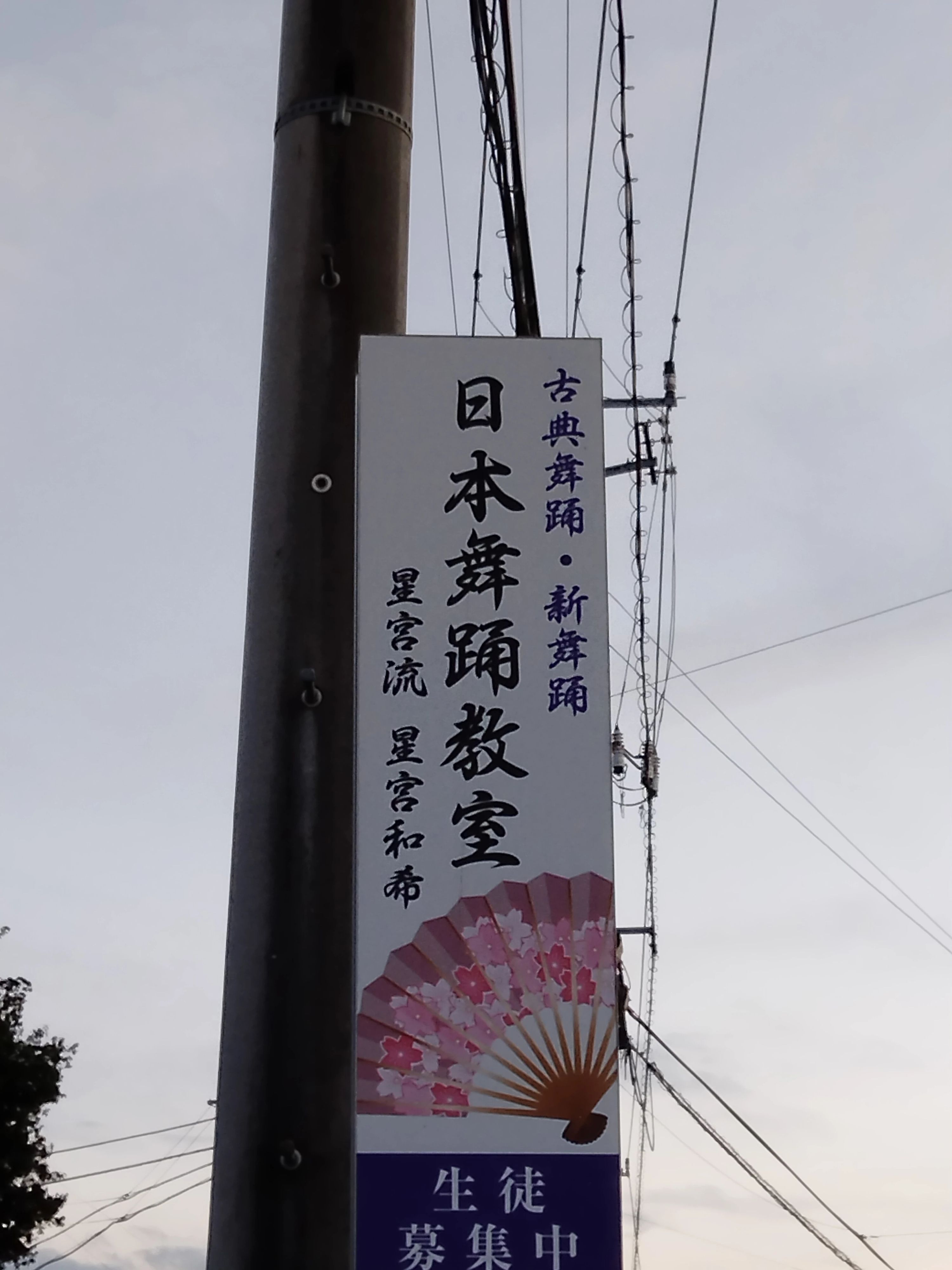 星宮日本舞踊教室 田宿教室のサムネイル画像 4