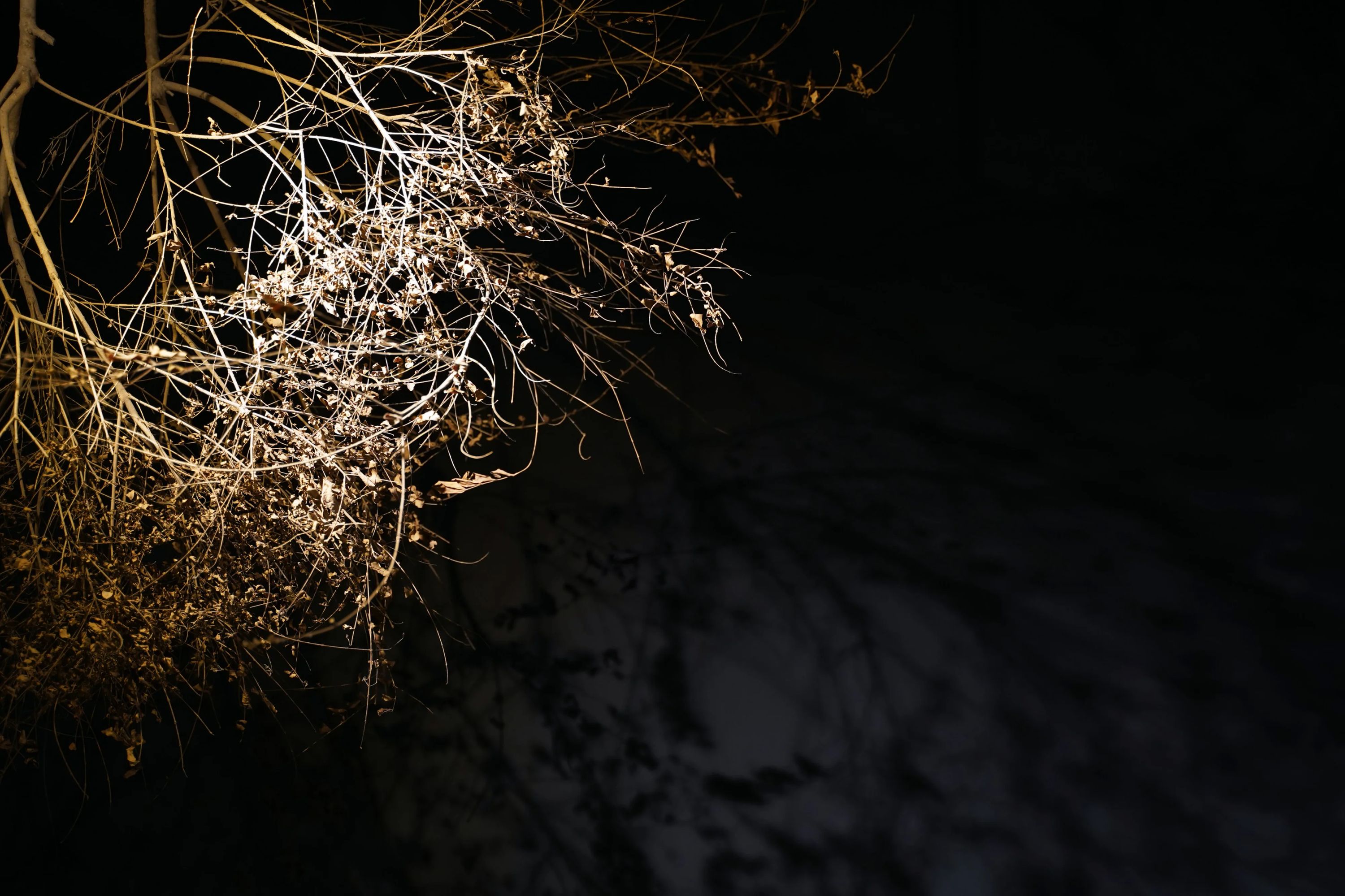 ダンススタジオHome 太田校のサムネイル画像 5