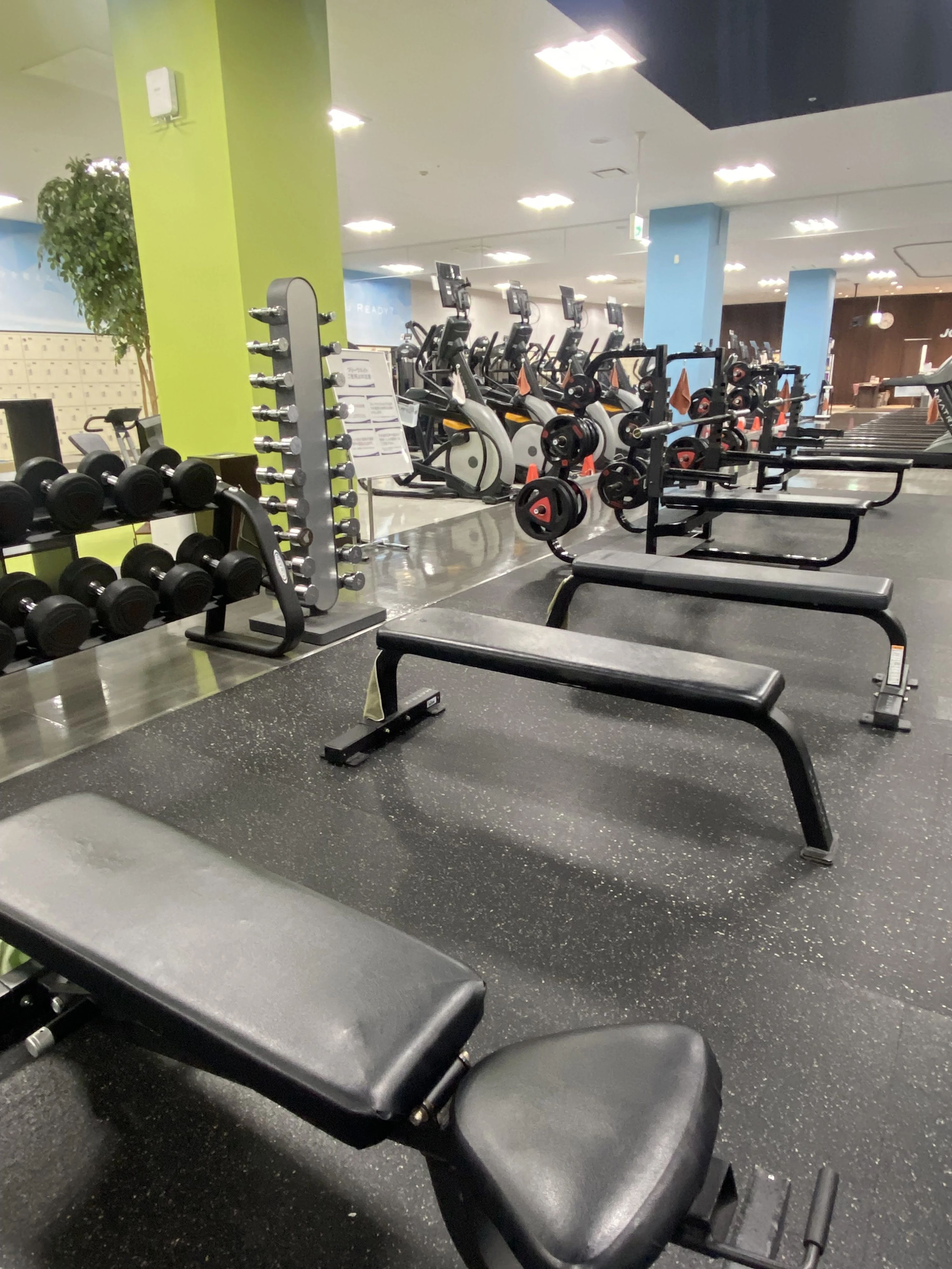 JOYFIT(ジョイフィット) ダンス 新潟長岡日赤のサムネイル画像 4