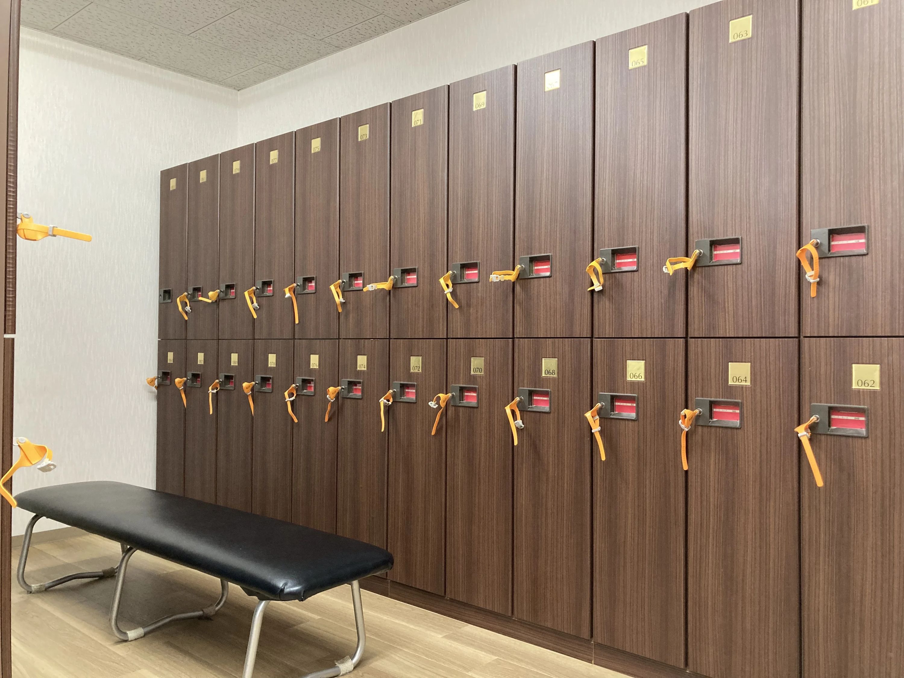 HDS(ハピネスダンススクール) 香久山教室+チア香久山教室のメイン画像