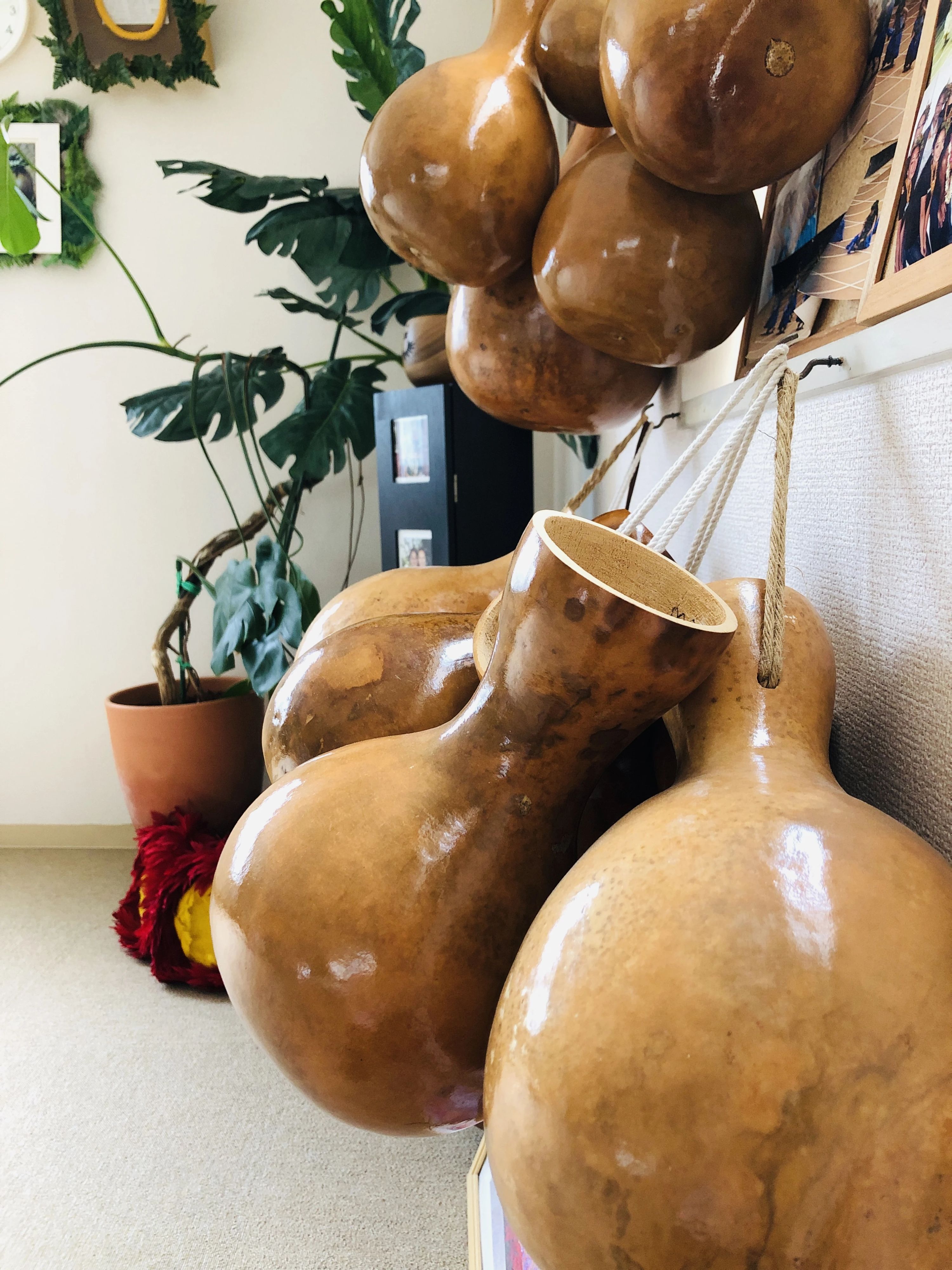 ハーラウ　オラパクイカライ　オ　ホクアウラニ ダンス 正木教室のメイン画像