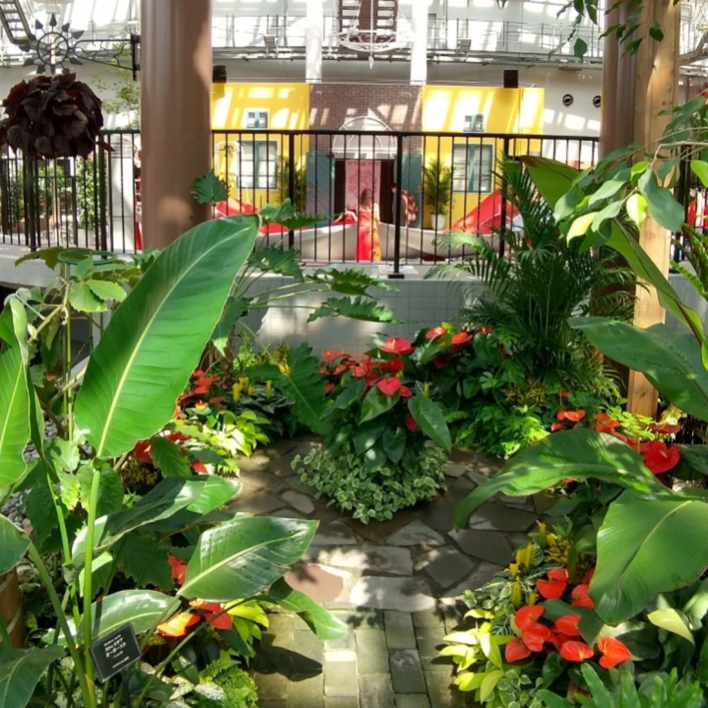 フラダンス&タヒチアン・イエイエ 名古屋栄スタジオのサムネイル画像 2