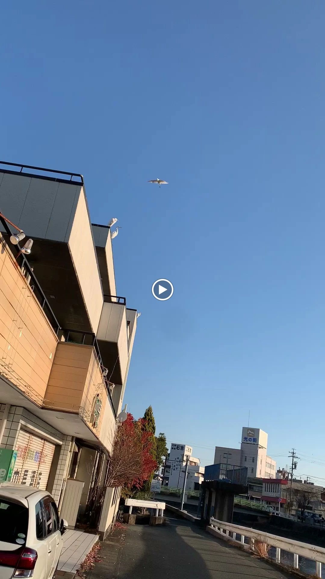 Ka Nalu Lani Hula Studio ダンス 志摩市磯部教室のメイン画像