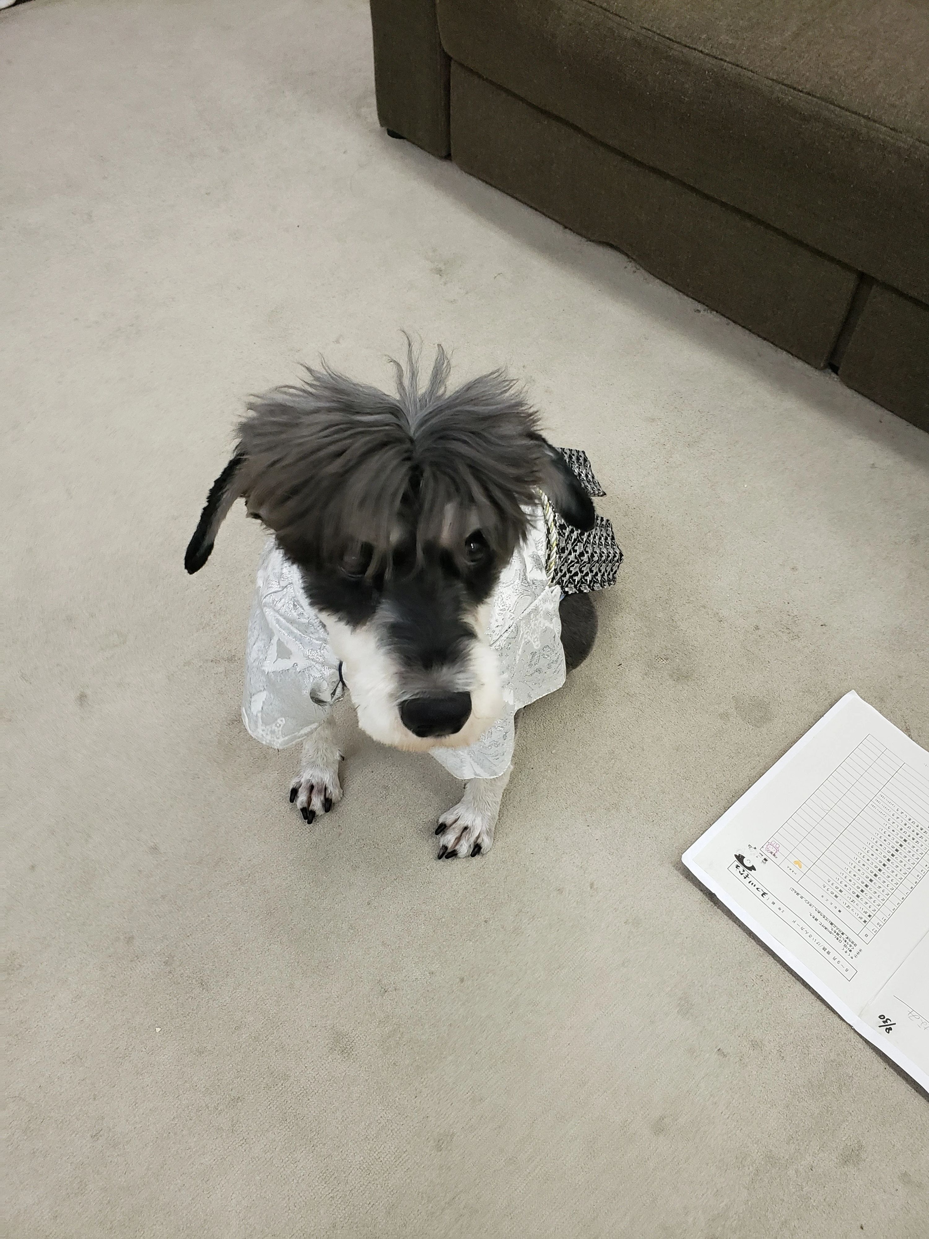 DANCE STUDIO MYSTER(マイスター) HIRAKATAのサムネイル画像 5