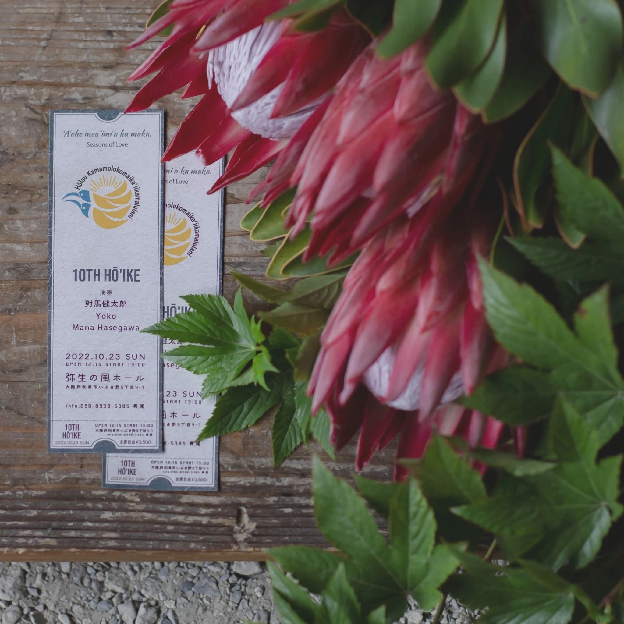 Makana Aloha(マカナアロハ) ダンス 和泉教室のサムネイル画像 2