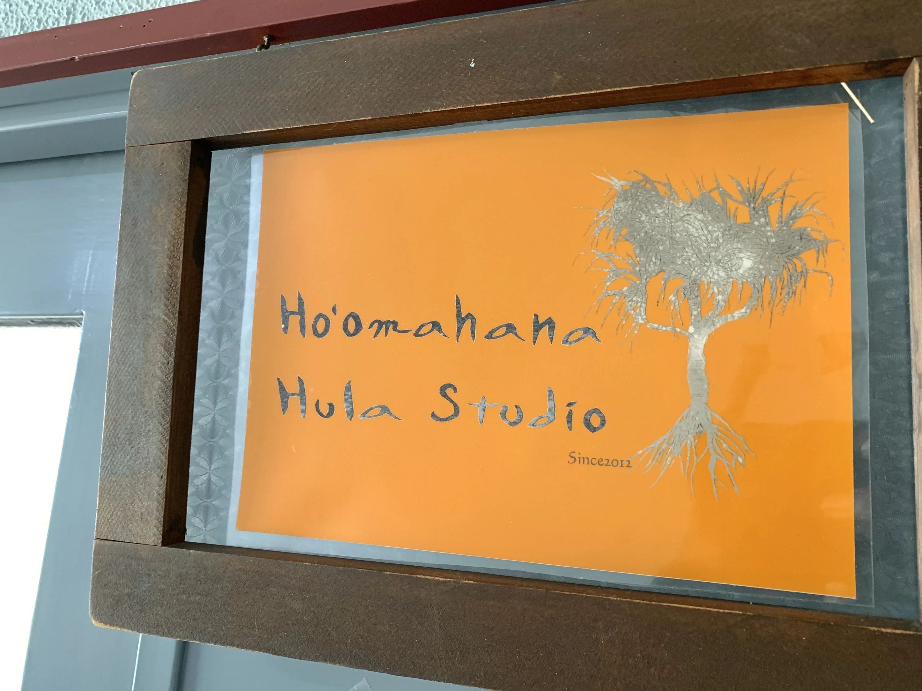 Ho'omahana Hula Studio(ホオマハナフラスタジオ) ダンス 伊加賀寿町教室のサムネイル画像 3