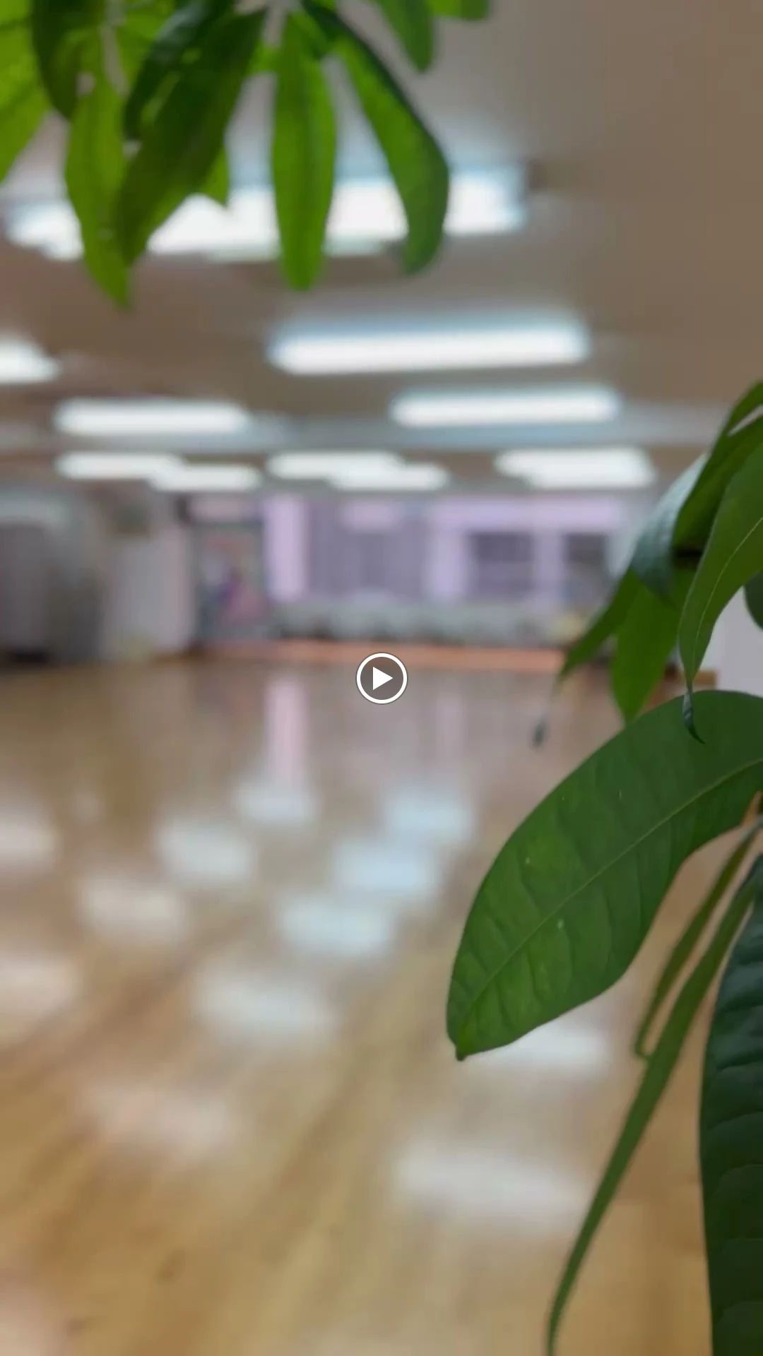 備後ダンススクール 備後教室のサムネイル画像 3