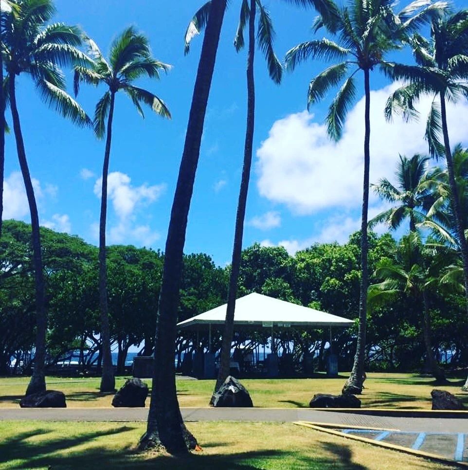 HAWAI'IAN STUDIO ダンス 鳳西町教室のサムネイル画像 4