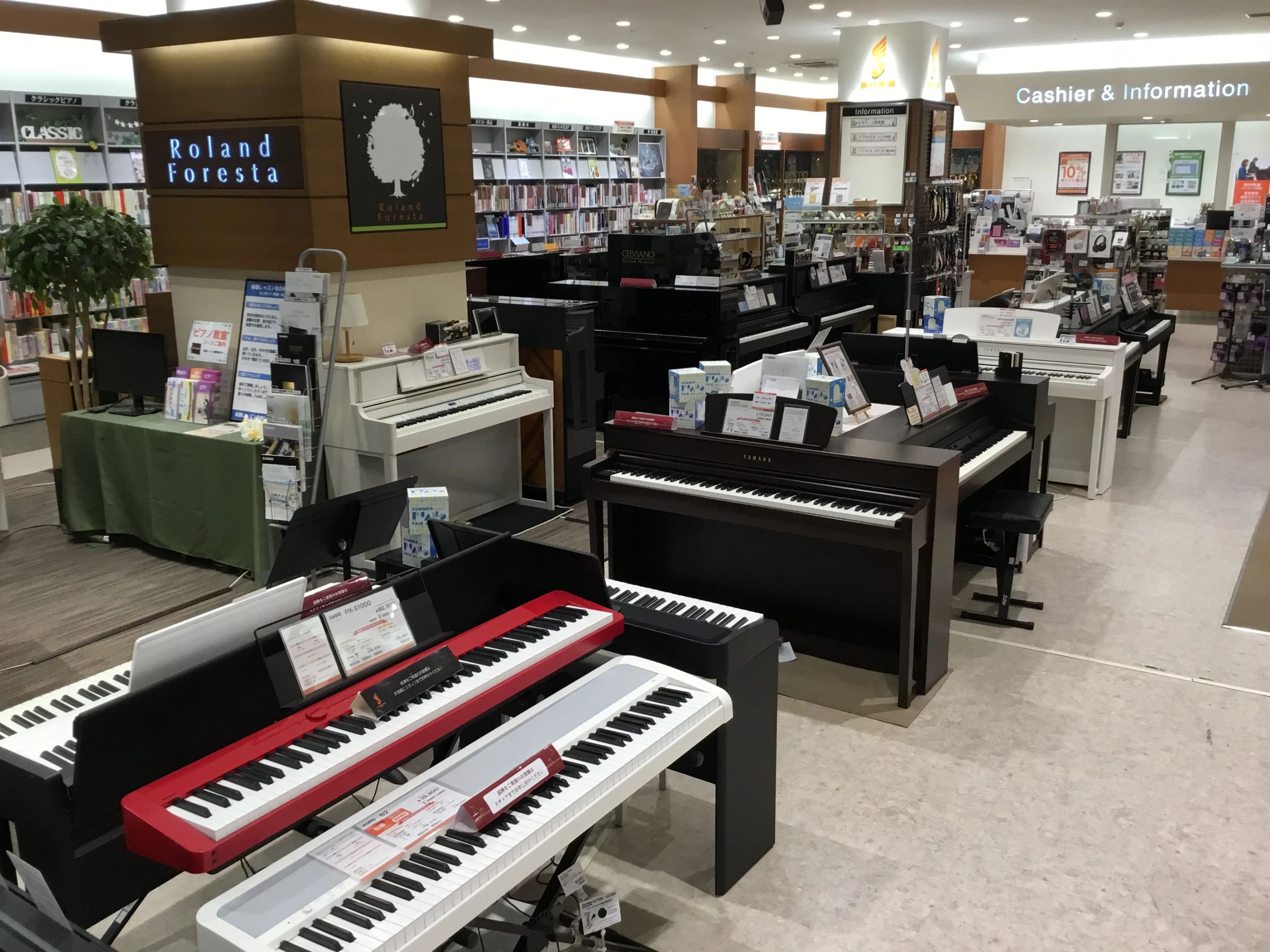 島村楽器の音楽教室 イオンモール船橋店 キッズヴォーカルのサムネイル画像 2