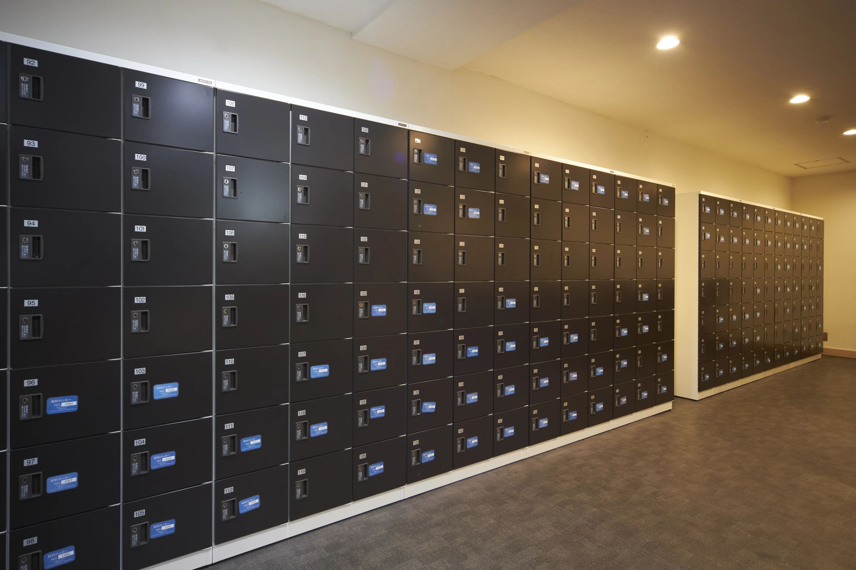 シップ ダンス 桂のサムネイル画像 5