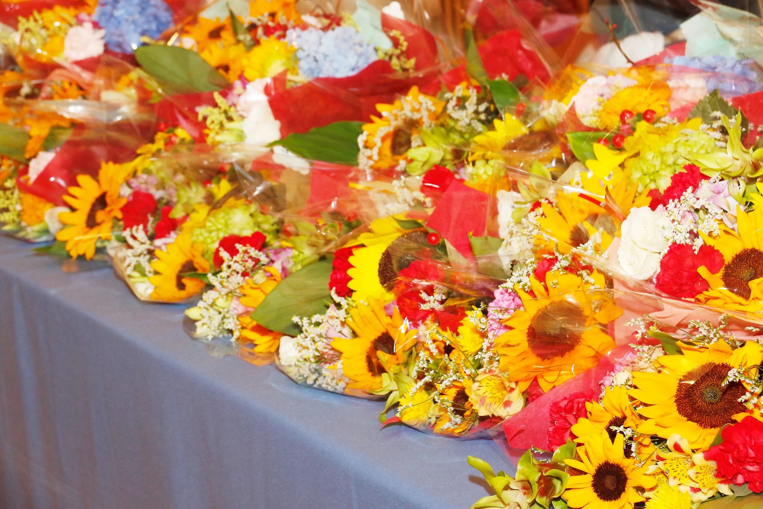 滋賀ボールルームダンススクール 一里山教室のサムネイル画像 4