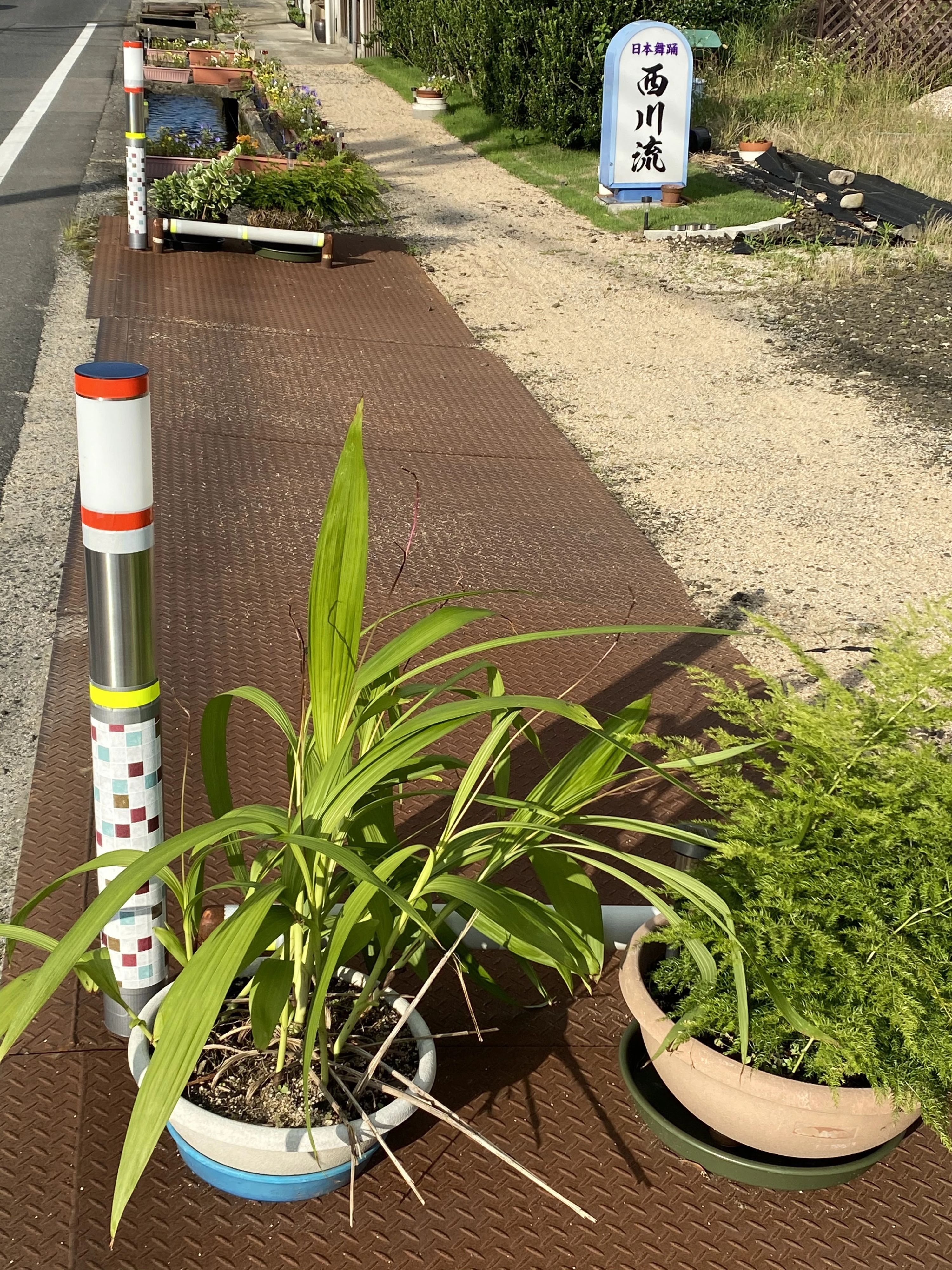 西川沢妙日本舞踊教室 ＆ こども をどり塾 斐川教室のメイン画像