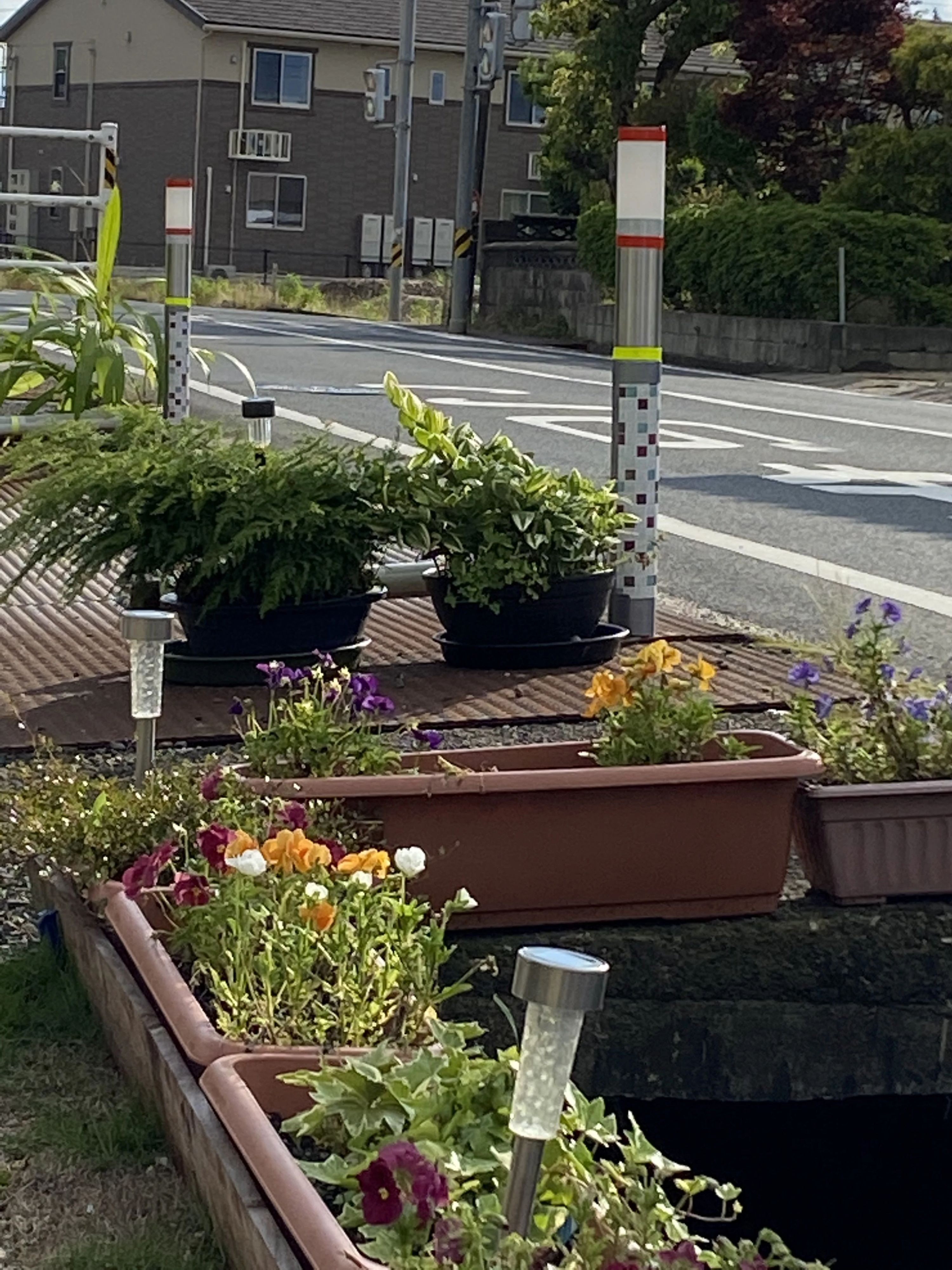 西川沢妙日本舞踊教室 ＆ こども をどり塾 斐川教室のサムネイル画像 5