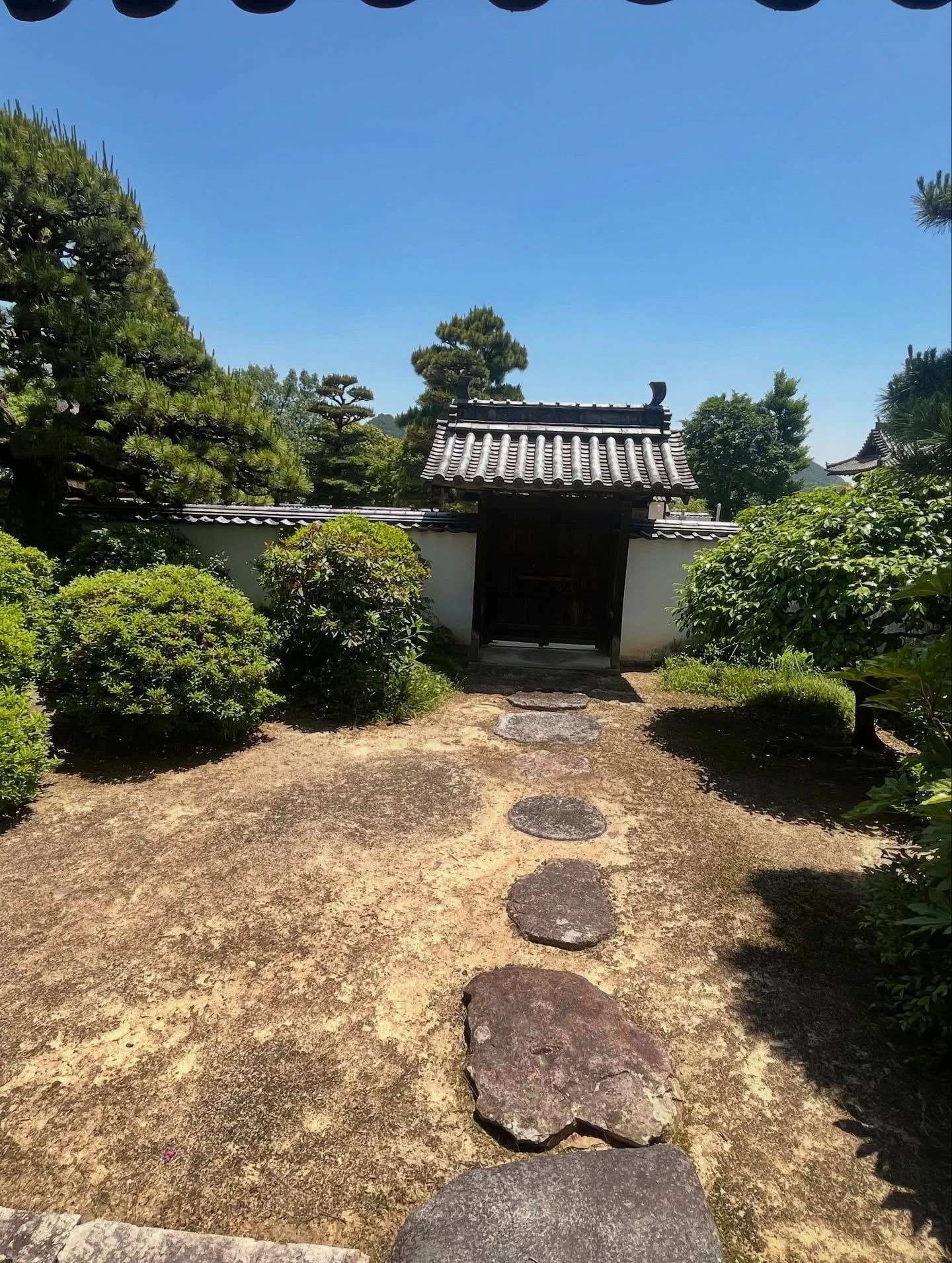 エイブルスポーツクラブ岡山 ダンス 福本教室のサムネイル画像 3