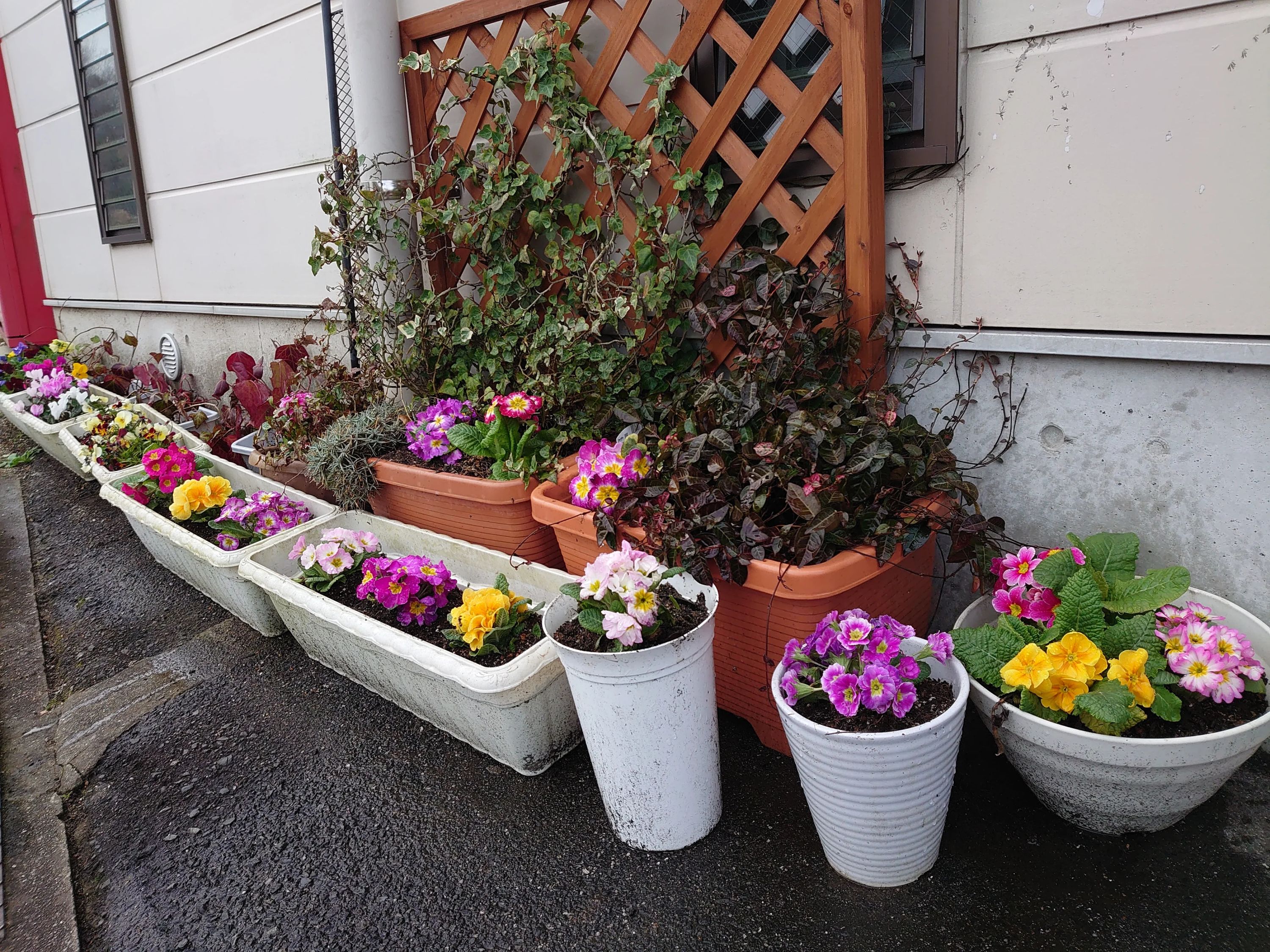 STUDIO PICK(スタジオピック) ダンス 長江教室のサムネイル画像 4