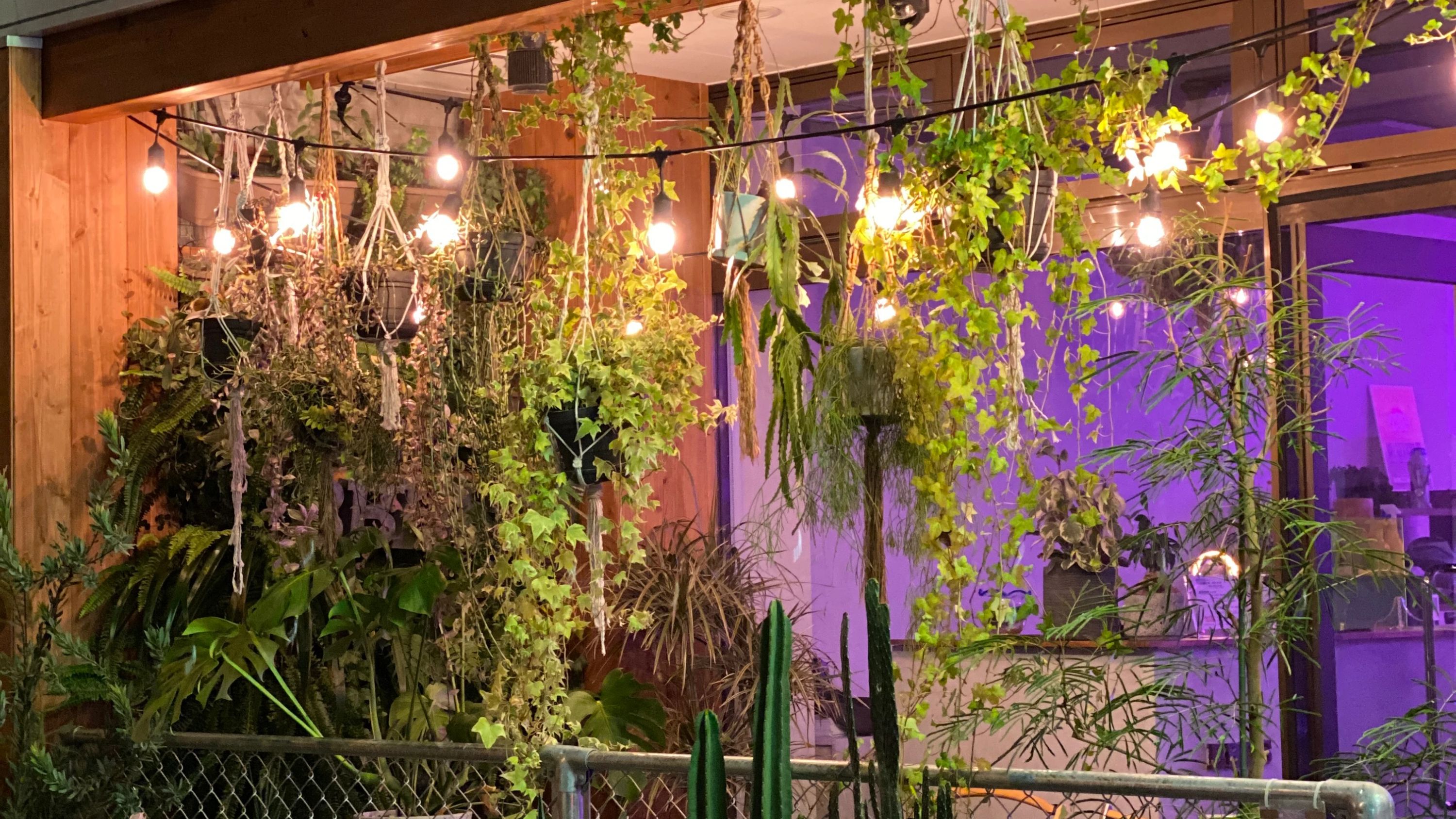 ビービーダンススタジオ 堀江校のメイン画像