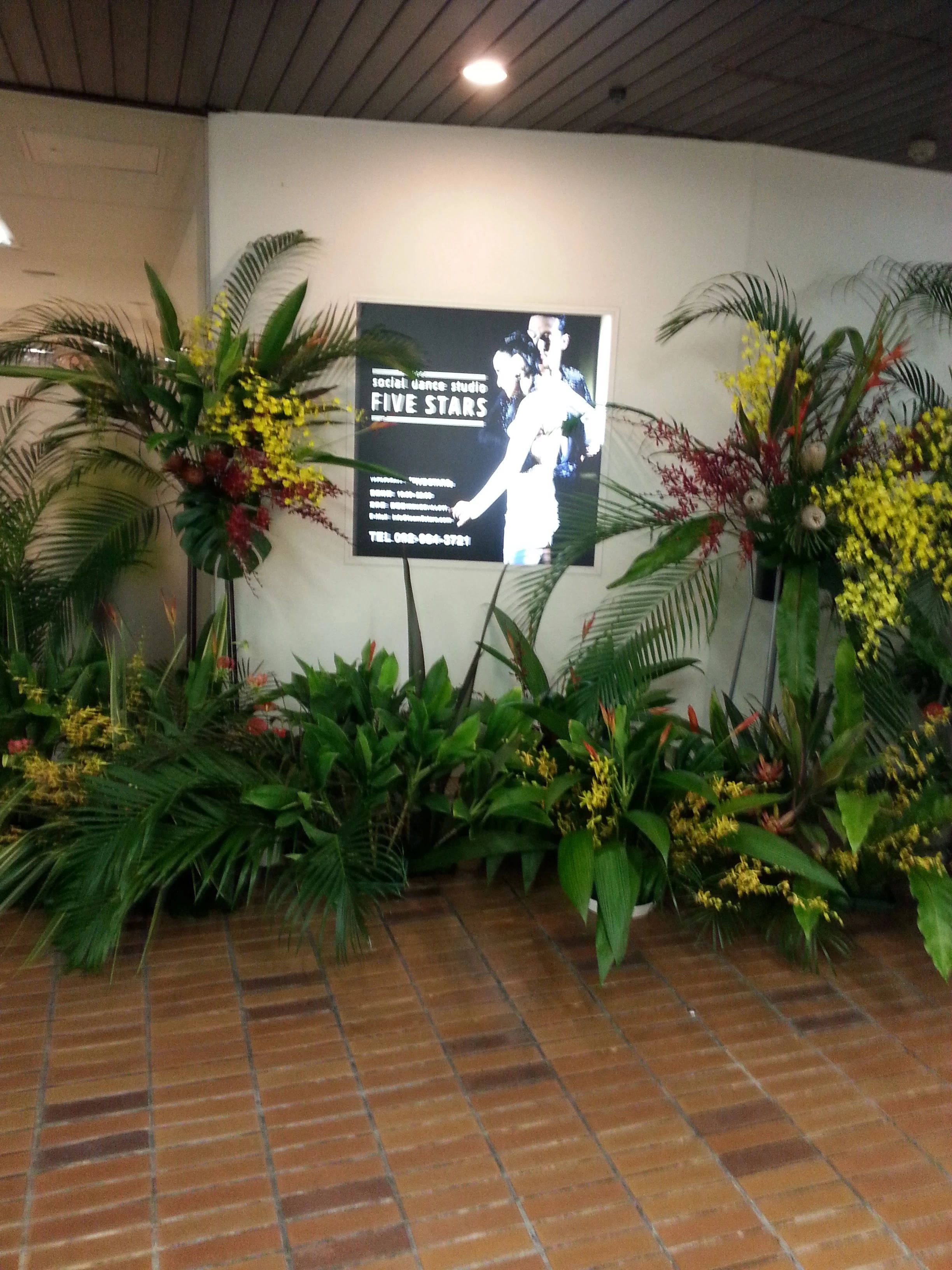 social dance studio FIVE STARS 渡辺通教室のメイン画像