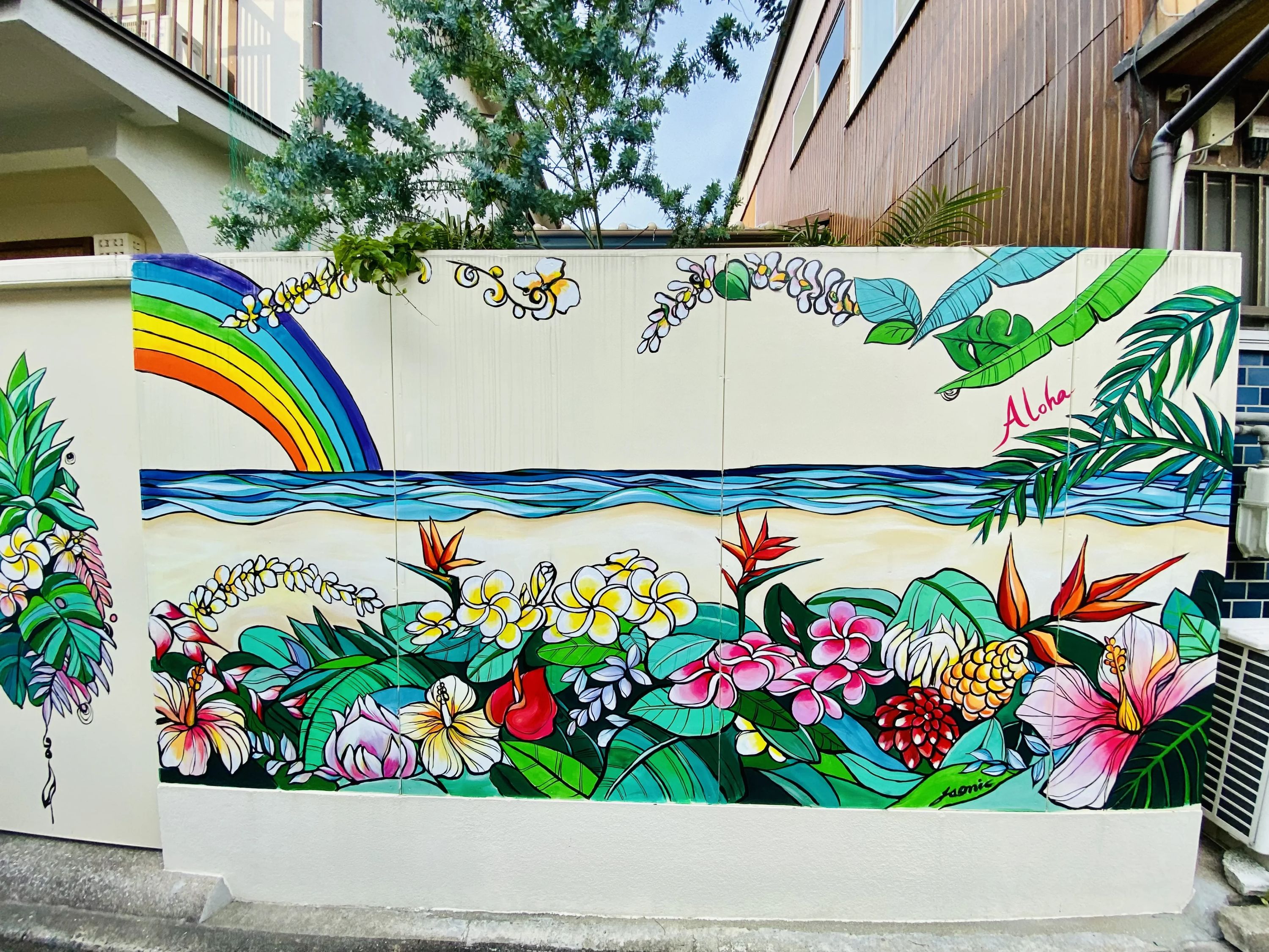 Na Hui O Maluhia(ナー フイ オー マルヒア) ダンス 六本松教室のサムネイル画像 2