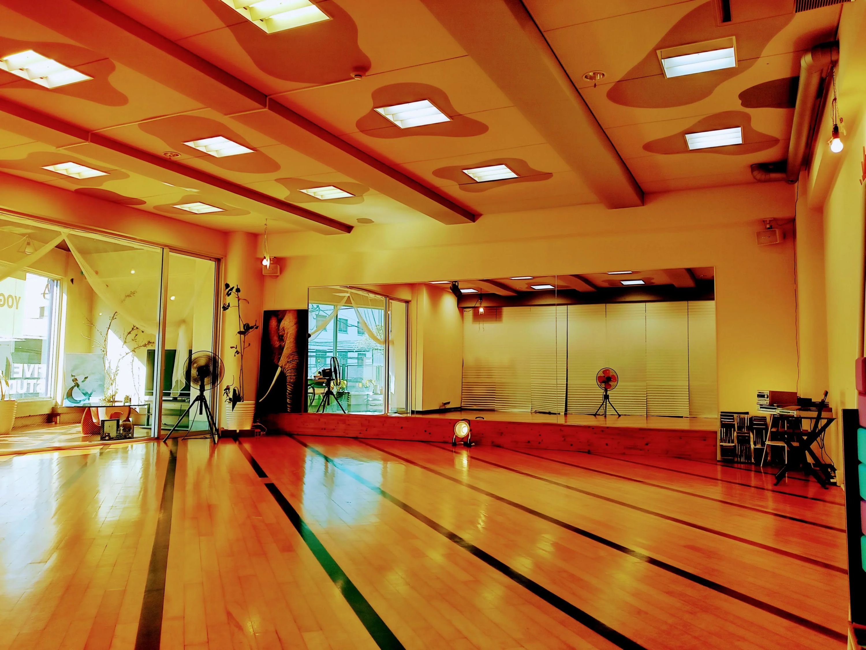 ＦＩＶＥ５　ＤＡＮＣＥ　ＳＴＵＤＩＯ　ファイブダンススタジオのサムネイル画像 3